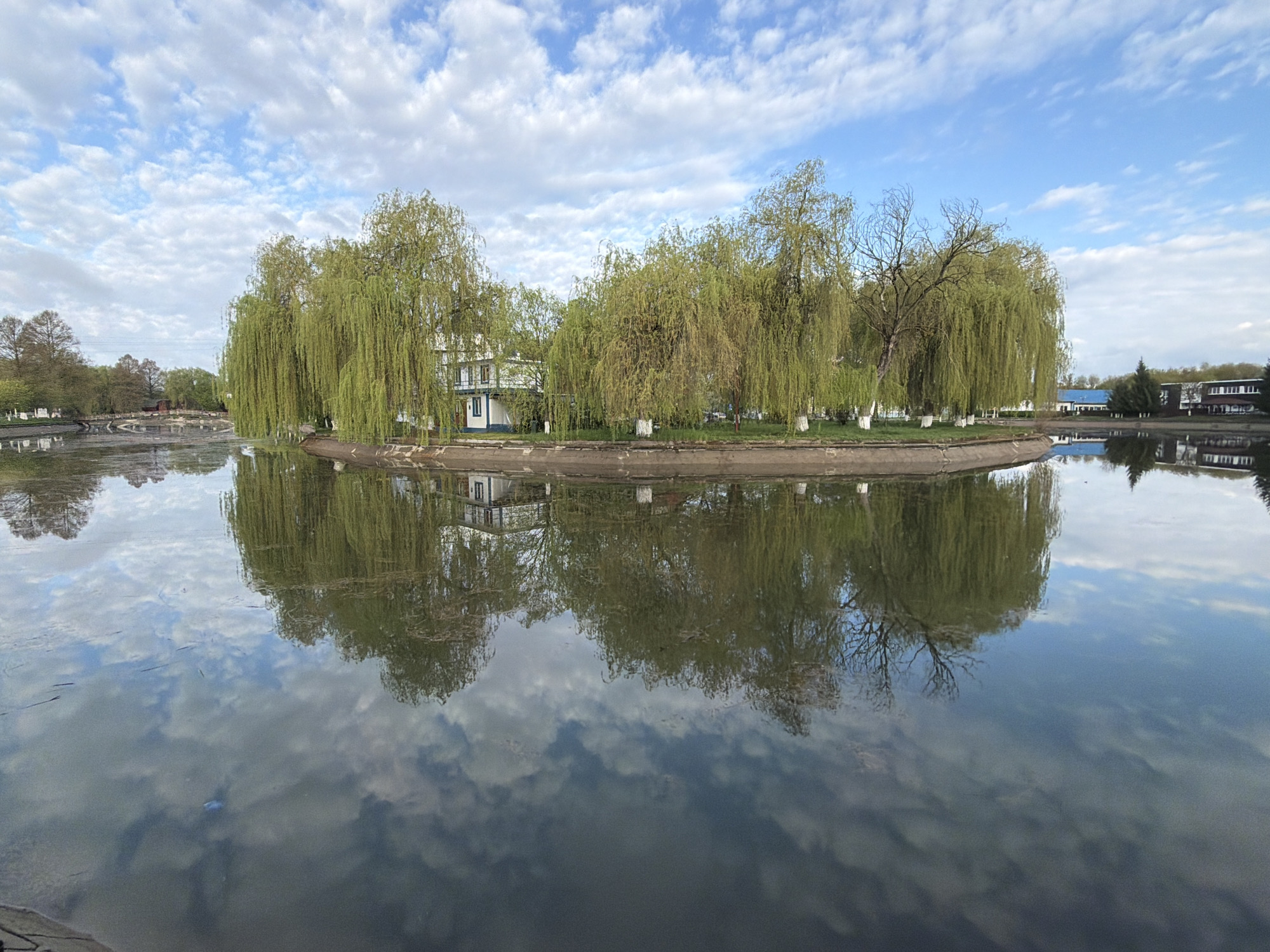 This image depicts a serene landscape featuring a small, verdant island surrounded by calm water under a partly cloudy sky. The scene is likely set in a park or recreational area in Târgu Mureș, Romania.
The central subject is a circular or oval-shaped island densely covered with trees, primarily weeping willows, whose long, drooping branches display fresh, light green foliage, suggesting spring or early summer. A multi-story building, painted white with dark green accents on its roof or trim, is visible among the trees on the island. The trunks of some trees along the island's edge are painted white at their bases.
The tranquil water perfectly reflects the sky, clouds, the island's trees, and the building, creating a striking sense of symmetry and depth. The sky above features a mix of bright blue patches and scattered white cumulus clouds.
In the background, beyond the island, additional trees and buildings can be discerned, including a structure with a prominent blue roof on the far right. The foreground shows the subtle edge of what appears to be a paved or natural bank. No human activity or visible text is present, contributing to the peaceful and still atmosphere of the daytime scene. The weather appears pleasant, with soft light and calm conditions.