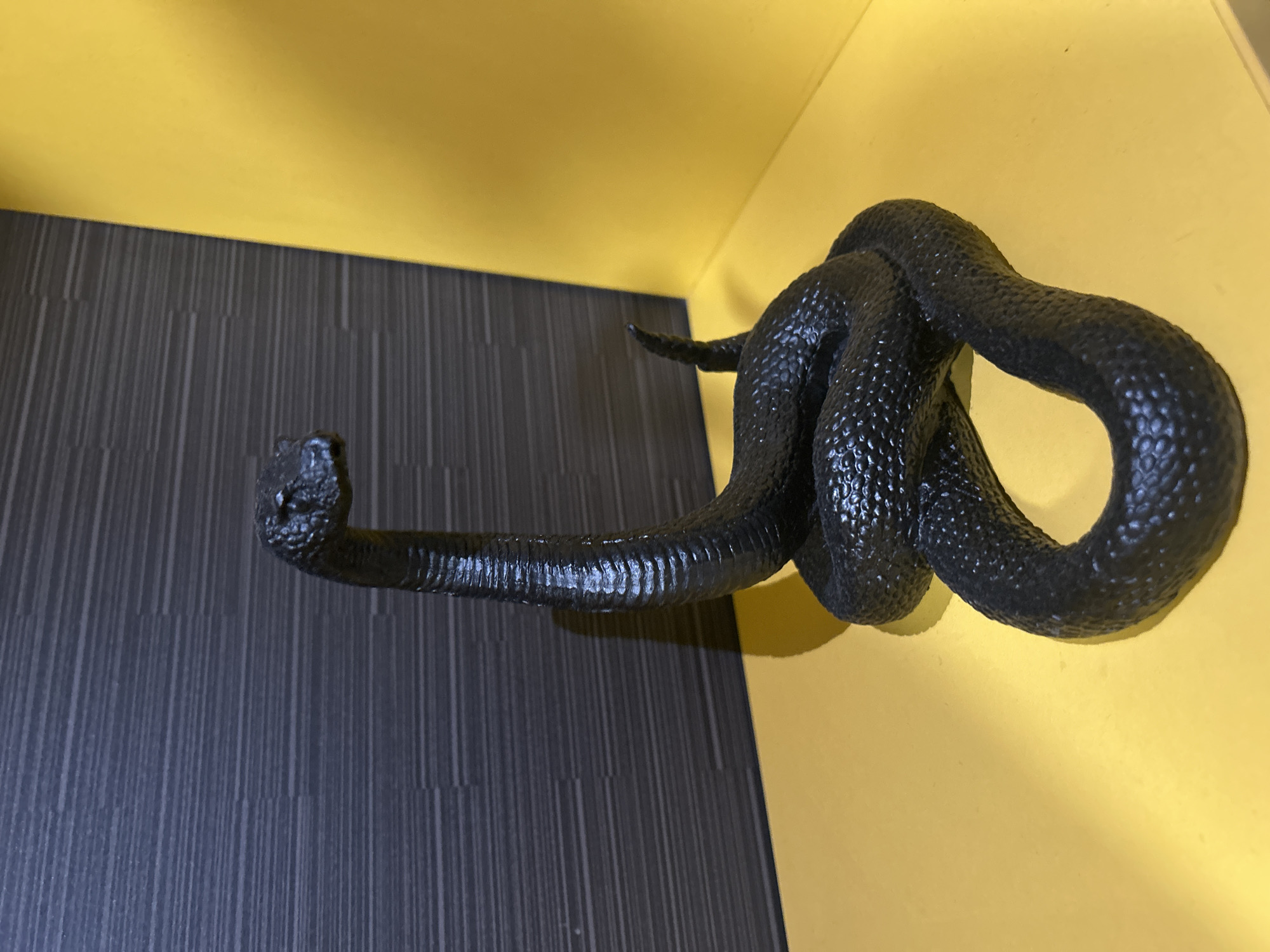 A black, serpentine sculpture is mounted on a yellow wall next to a wall with vertically oriented, grey-toned linear patterns. The sculpture is knotted in the center, with the head and tail extending outwards. The sculpture's surface appears textured. The location is unknown.