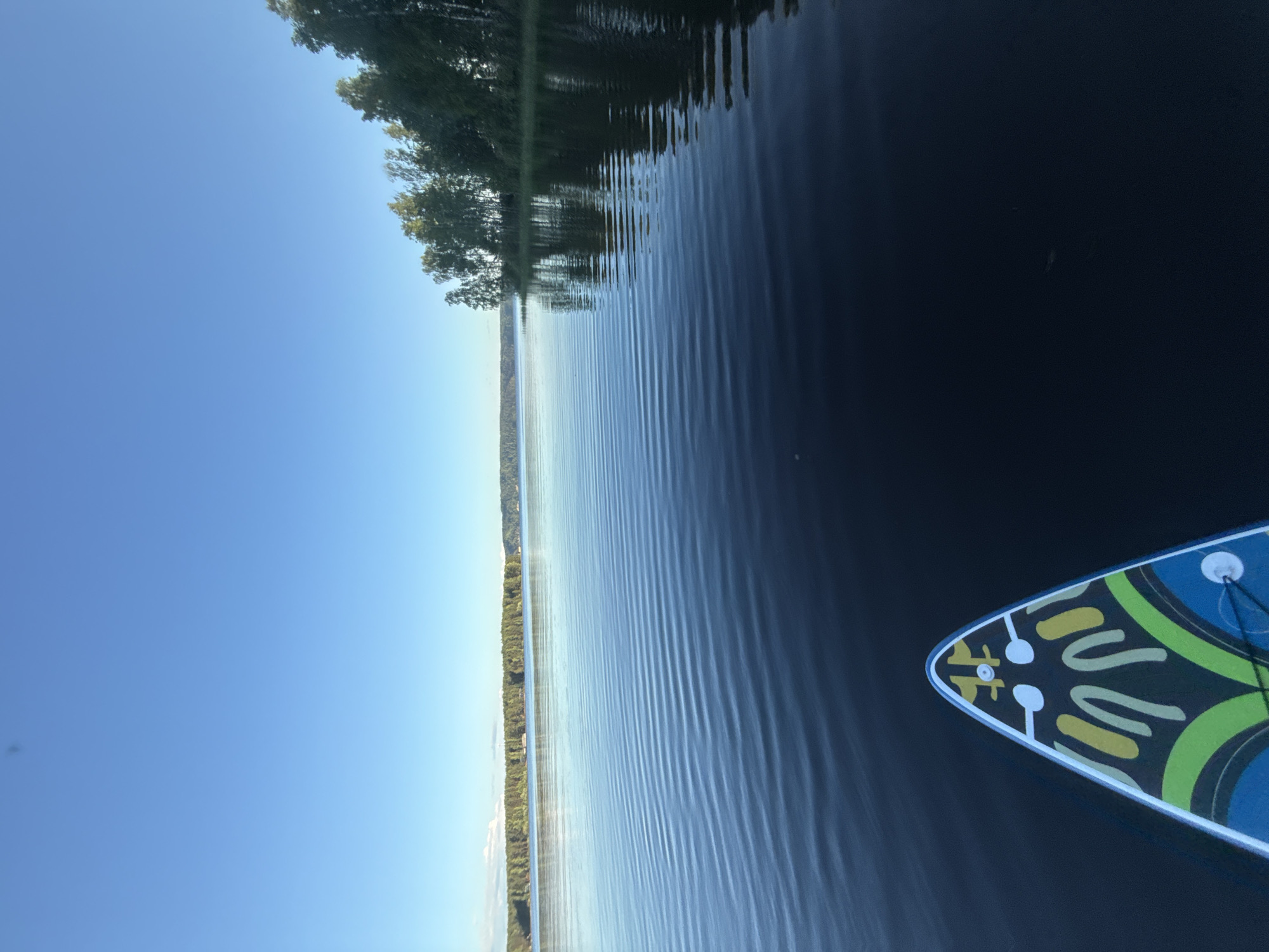 A wide-angle, first-person perspective shot captures a serene lake scene from the front of a stand-up paddleboard. The paddleboard, adorned with a colorful abstract design of blues, greens, yellows, and white, is positioned in the lower foreground, pointing towards the lake. The dark, rippling surface of the water dominates the mid-ground, reflecting the clear, bright blue sky. In the distance, across the expanse of water, lies a tree-lined shore, with a dense forest of green trees stretching horizontally. The horizon is subtly visible where the lake meets the sky, with faint clouds dotting the distant sky. The overall impression is one of tranquility and natural beauty on a sunny day.