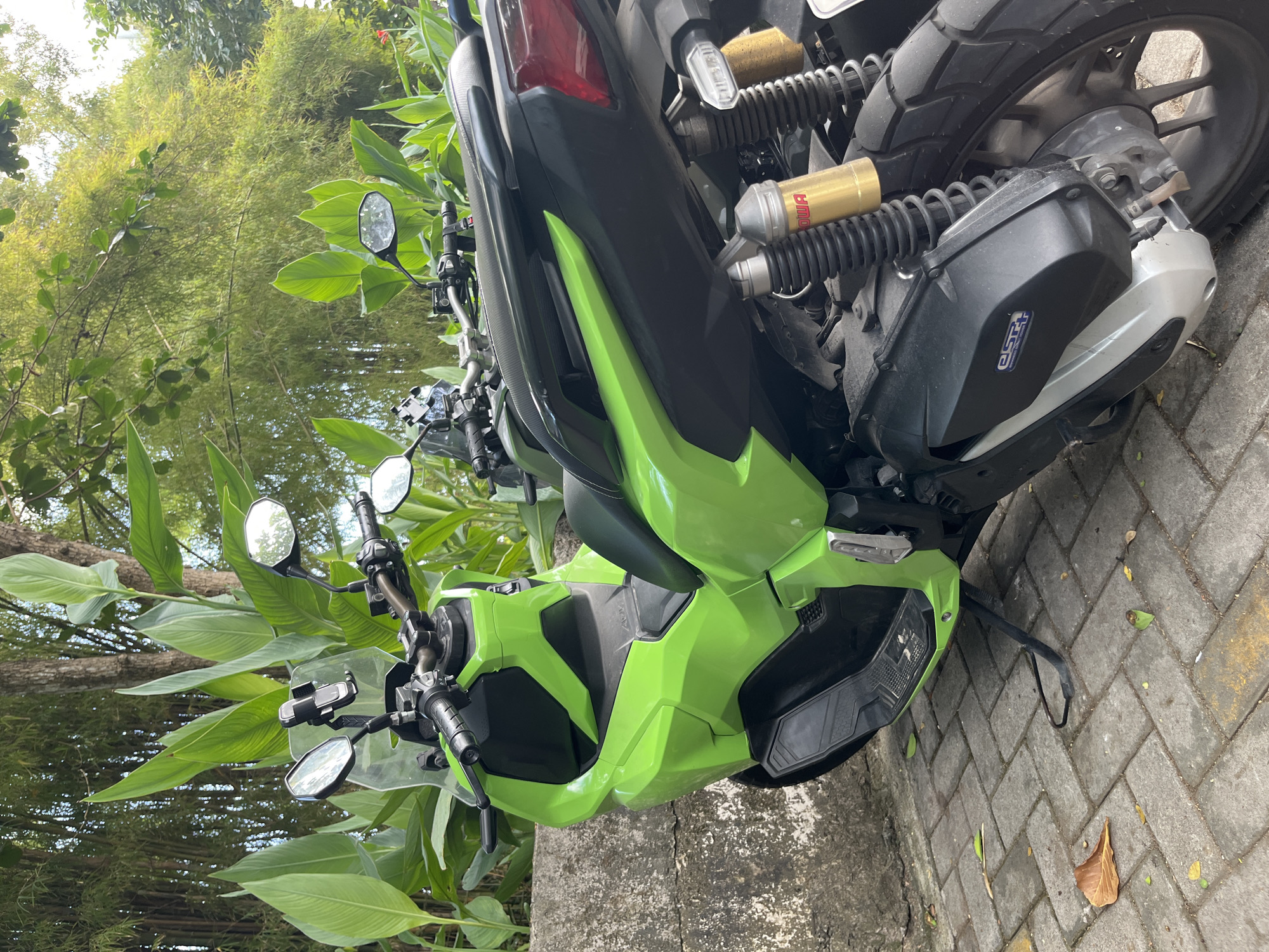 A bright lime green Honda ADV 150 scooter is parked on a brick pathway. The scooter is facing to the left, with its front half visible in the foreground. Behind the scooter, lush green foliage and bamboo stalks create a dense, natural backdrop. The scooter has a clear windshield, black handlebars with mirrors, and a black seat. The rear of the scooter features a red taillight and a visible gold-colored shock absorber. The pathway is made of rectangular gray bricks, with a few fallen leaves scattered on the ground. A rough, gray stone wall runs along the left side of the pathway. The scene appears to be outdoors in a tropical environment, possibly in Kuta Selatan, Indonesia, given the vegetation and the scooter model.