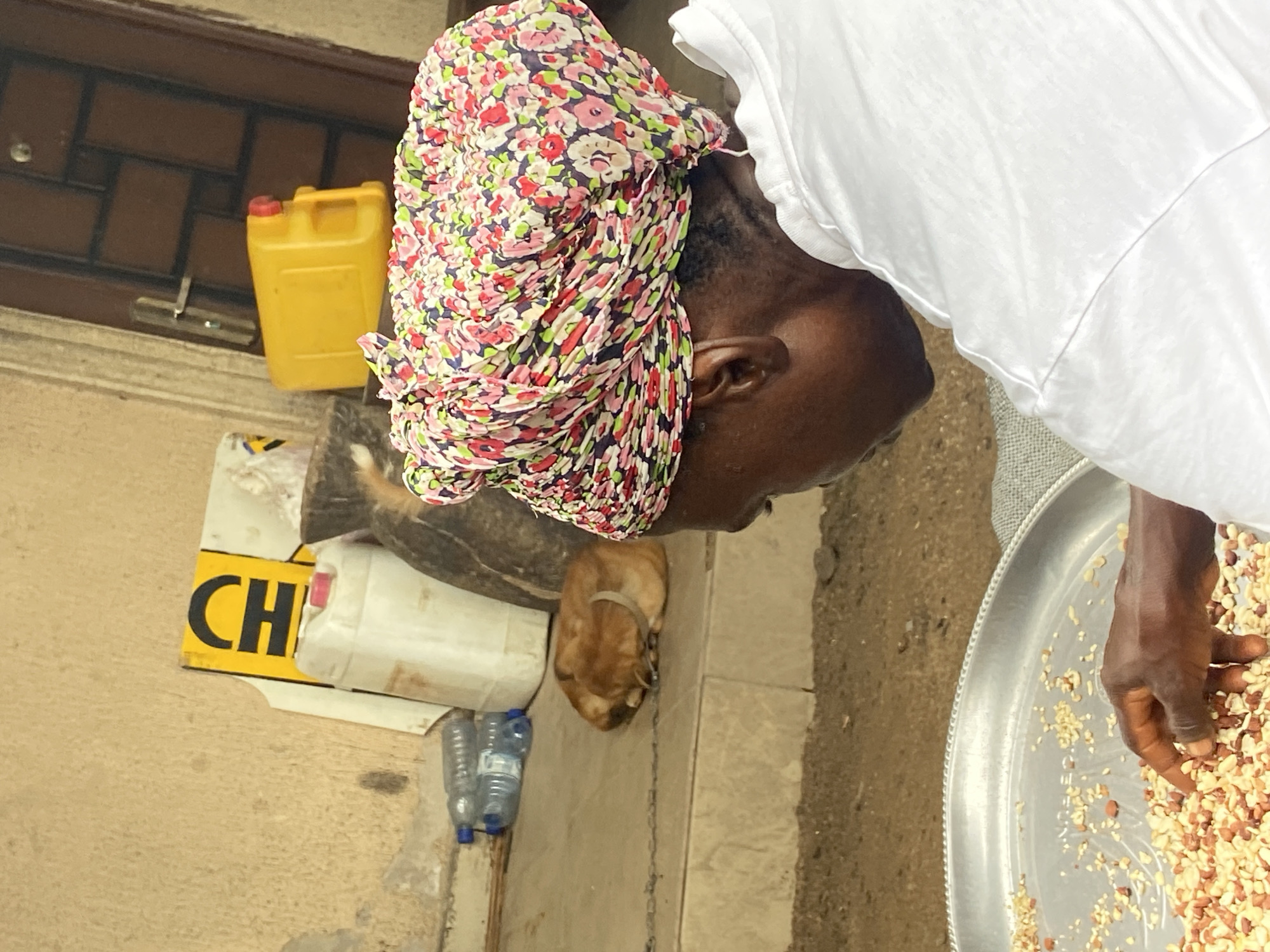 An overhead, slightly rotated shot captures an outdoor scene, likely in Mararaba, Nigeria. The primary subject is an adult woman with dark skin, positioned on the right side of the frame. She wears a white top and a vibrant floral headwrap featuring patterns of red, pink, green, and white. Her face is visible in profile as she focuses intently on a large, round, silver-colored metal tray. With her right hand, she is actively sifting or processing numerous shelled and chopped peanuts or groundnuts spread across the tray.
To the left of the woman, a small, light brown dog is curled up and resting on the tiled ground, wearing a collar. The ground beneath the dog and other objects is a mix of light-colored tiles and rougher dirt or gravel. Various objects are scattered around the ground and a raised ledge. These include a yellow plastic jerrycan with a red cap on the ledge, and a white plastic jerrycan with a red cap, along with two clear plastic water bottles with blue caps, on the ground. Part of a yellow sign or cardboard box with the black letters "CH" is also visible on the ground. In the background, a brick wall or structure can be seen. The scene is brightly lit by natural light, indicating it is daytime. The woman appears focused on her task of preparing the groundnuts.