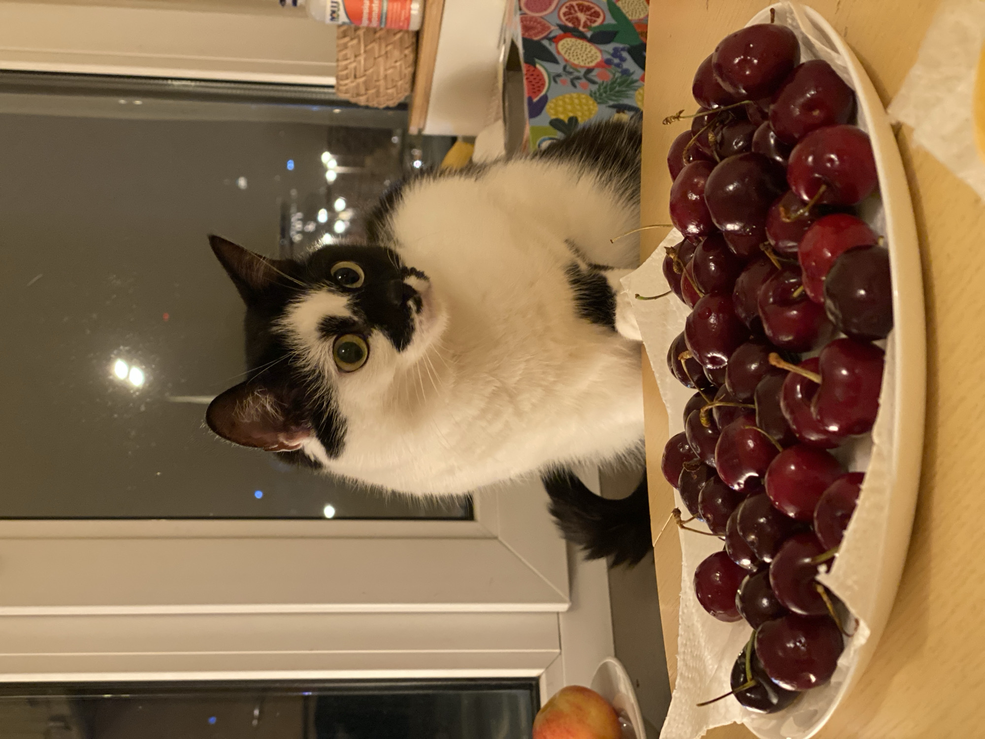 In a domestic setting, a black and white cat sits near a window with a view of city lights, suggesting an urban environment. In the foreground, a plate of dark red cherries rests on a wooden surface. To the left of the cat, a single apple is visible on a white plate. The cat is looking to the right of the frame. The background shows the exterior view from a window, featuring blurred lights and structures consistent with a cityscape at night. No people are present in the image. The scene does not provide any specific indicators of the city of Moscow, Russia.