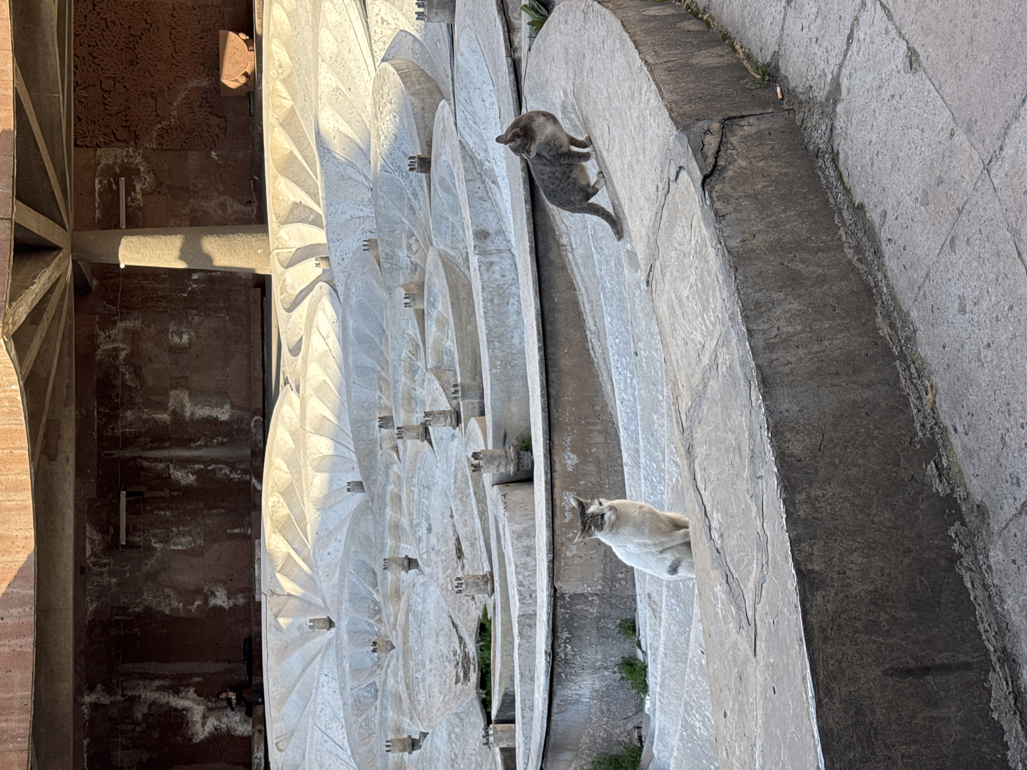 The image shows a section of the Cascade complex in Yerevan, Armenia. The architecture is characterized by a series of cascading levels of white, ornate stone steps and fountains. Two cats are present in the scene. One is a gray cat standing on the upper level, and the other is a light-colored cat sitting on a lower level. The structure is made of stone and has intricate detailing. The background includes the architectural elements of the complex, with a brick-like design visible on a vertical surface on the left. The setting appears to be outdoors during daylight.