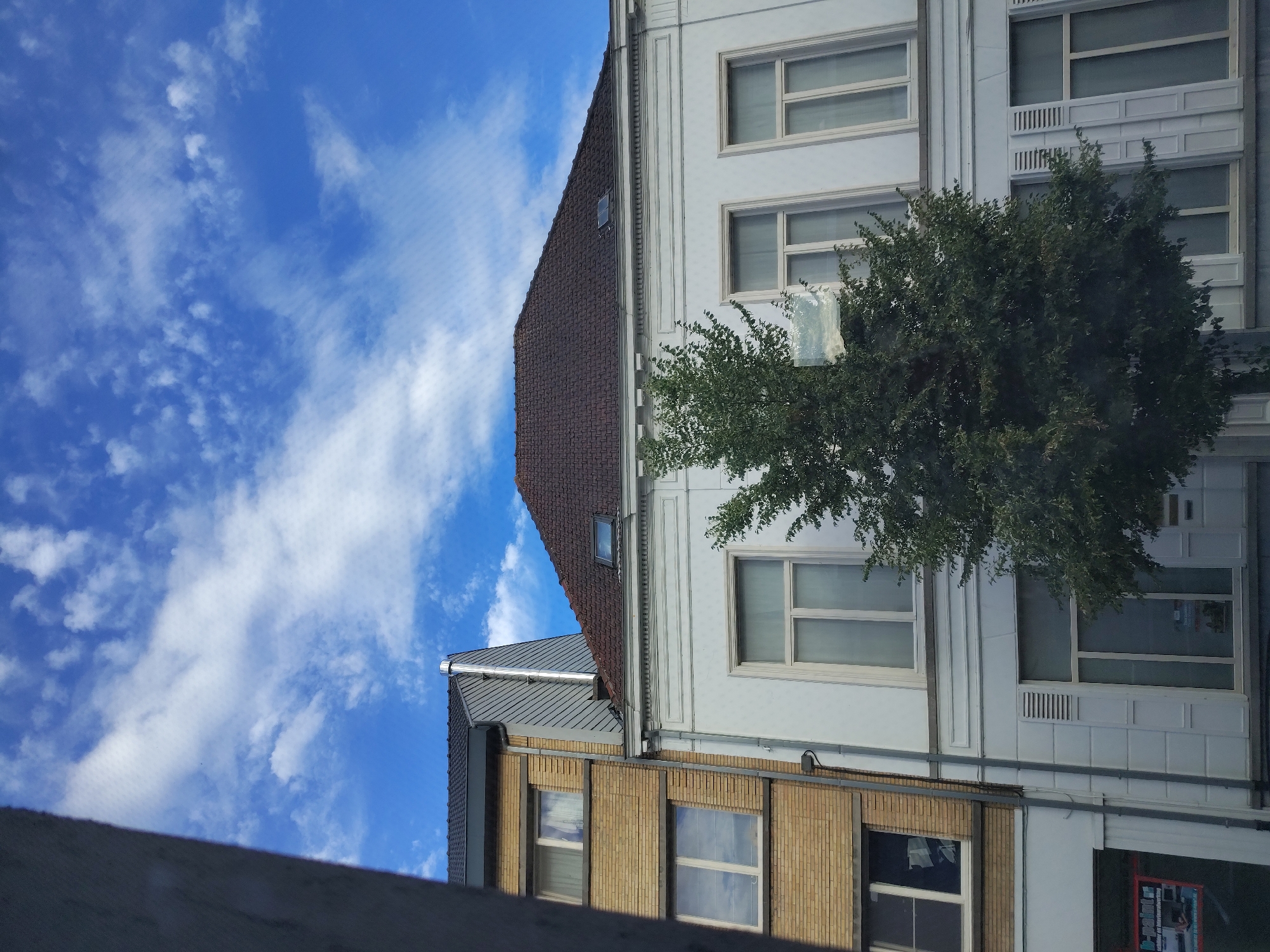 The image shows an upward-facing view of two adjacent buildings under a bright blue sky with scattered white clouds. The building on the left has a dark brown tiled, sloped roof with a small dormer window. Below this roof, a section of the building is clad in light brown bricks, featuring two large windows.
The building on the right is taller and has a white facade with multiple levels of windows. The windows on the upper floors are large and rectangular with light-colored frames, and some have horizontal blinds or decorative elements. A large green tree with dense foliage partially obscures the upper floors of the white building, with some branches reaching towards the sky.
The image appears to be taken during the daytime, likely mid-morning or afternoon, given the bright sunlight illuminating the sky and buildings. The weather seems pleasant, with a clear blue sky and fluffy white clouds. There are no people visible in the image. The overall scene depicts an urban or semi-urban environment, possibly a street in Nederbrakel, Belgium, as suggested by the architectural style of the buildings. There is no visible text in the image.