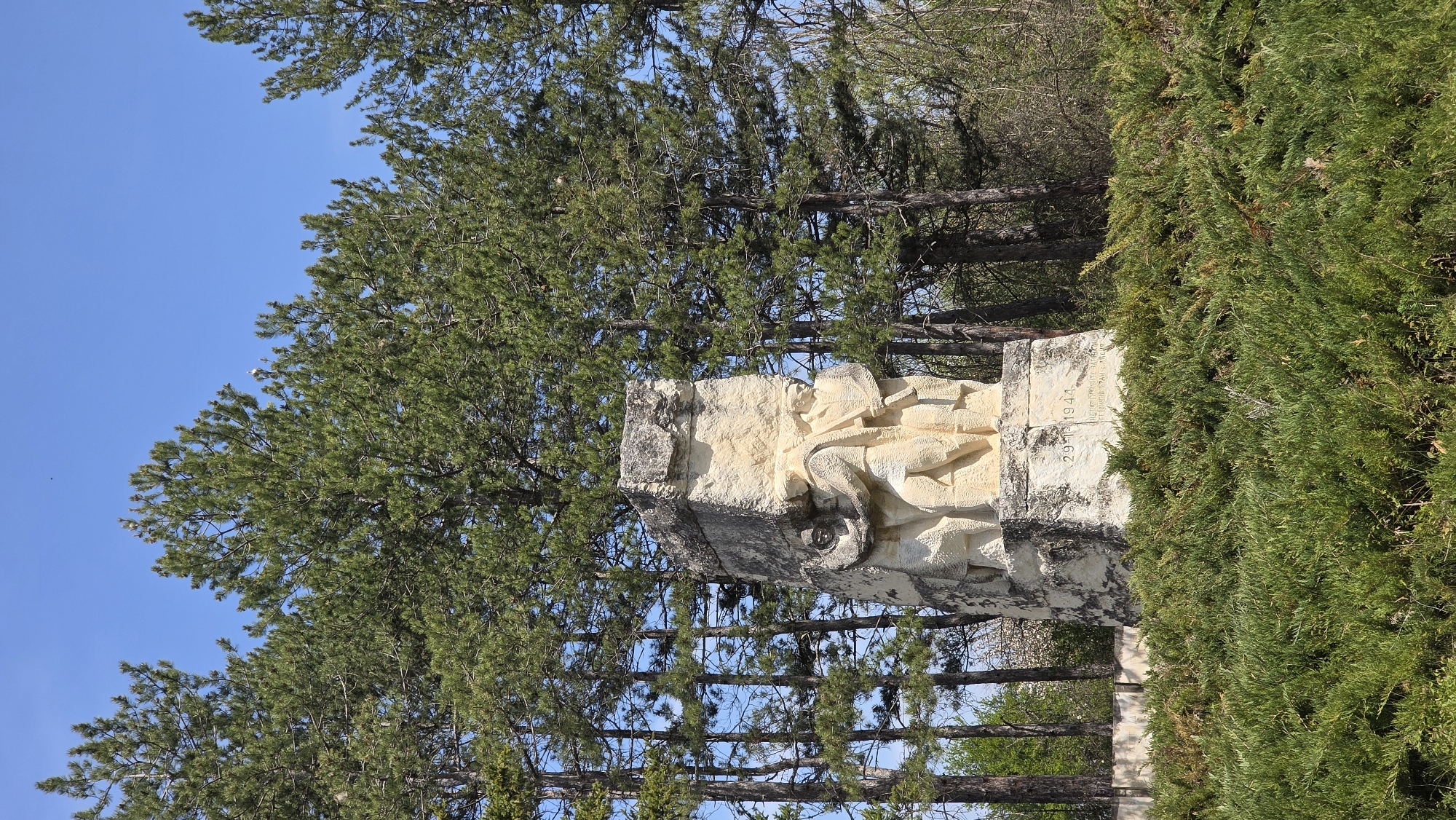 The image displays a stone monument situated outdoors, set against a backdrop of tall pine trees and a clear blue sky. The main subject is a light-colored, possibly limestone, monument that features a relief carving of a human figure. The figure appears to be a man, possibly a soldier, depicted in a reclining or fallen pose. Details such as a helmet, rifle, or equipment can be vaguely discerned on or near the figure. The monument itself has a rugged, natural stone texture.
To the right of the monument, a dense, dark green evergreen bush or hedge runs vertically, providing a stark contrast in texture and color. In the background, numerous pine trees with dark green needles stand tall, their trunks visible in parts. The bright sunlight, indicated by the clear blue sky and distinct shadows on the monument, suggests it is daytime, likely midday or early afternoon.
On one side of the stone monument, an inscription is visible. The date "29 X 1944" is clearly etched into the stone. Below this date, partial Cyrillic text can be seen, which includes the word "ЗАГИНАЛИТЕ" (Zaginalite), meaning "The fallen" or "The killed," indicating the monument is a memorial. Given the location context of Drenkovo, Bulgaria, this monument likely commemorates individuals or an event that occurred on that date in Bulgarian history. The scene is static, depicting a solemn memorial in a natural, forested environment.