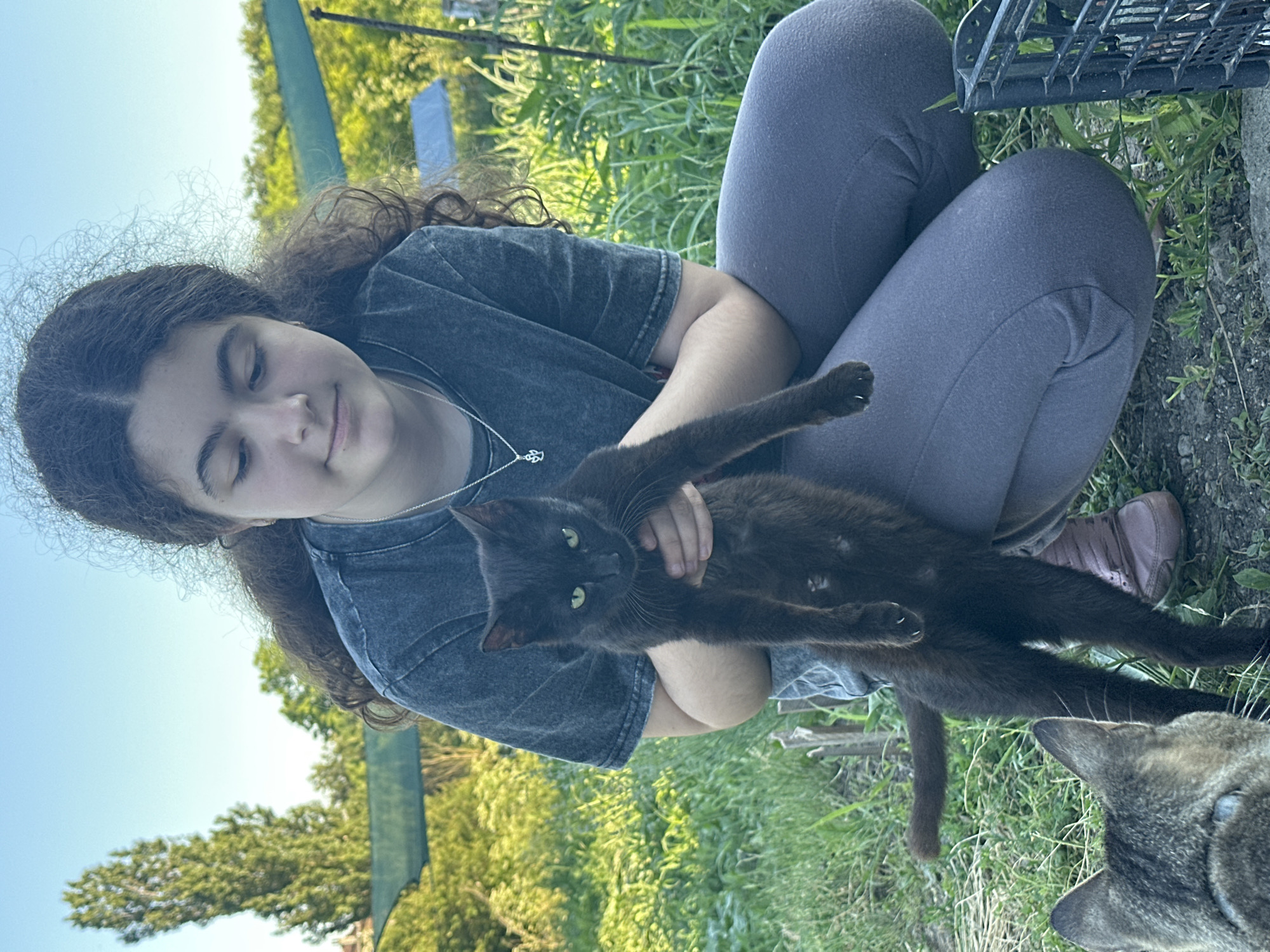 In Ravna Gora, Bulgaria, a young girl with curly brown hair, wearing a dark gray t-shirt and gray leggings, kneels in a grassy area. She is holding a slender black cat upright in her arms, its front paws extended. The cat has bright green eyes. To the lower left, the back of another cat, a tabby, is visible, looking towards the black cat. The background consists of lush green foliage, trees, and a clear blue sky, suggesting an outdoor setting during daylight. A black plastic crate is partially visible on the right side of the frame.
