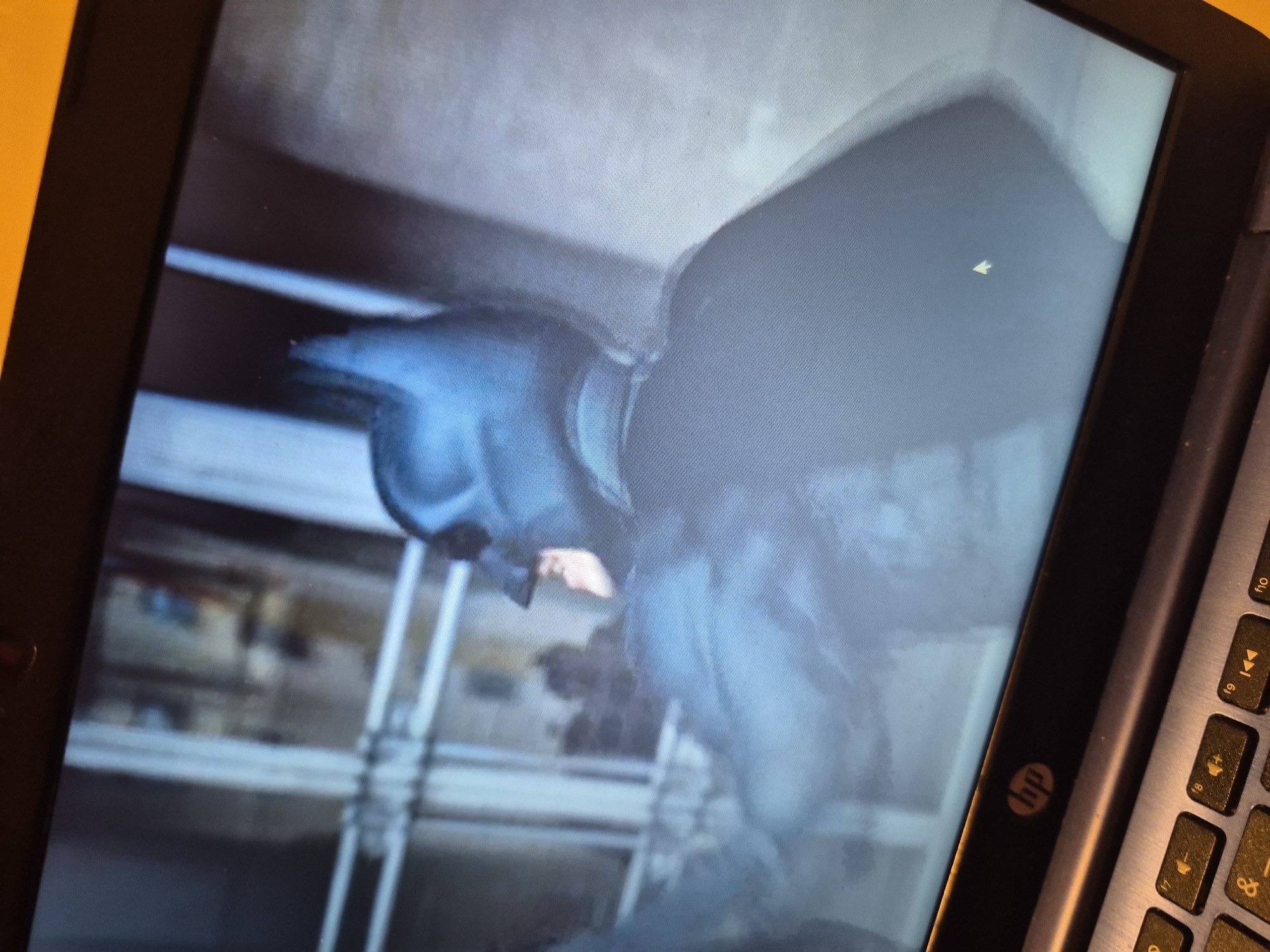 This is a close-up, slightly blurry, over-the-shoulder photograph of a laptop screen displaying a scene from a movie or TV show. The screen shows a figure in a dark costume, strongly resembling Batman, with pointed ears on the cowl and a visible portion of their face. The background on the screen is also blurry, with vertical elements that could be bars or windows, and hints of other figures in the distance. The laptop itself is visible in the foreground, with a portion of the keyboard showing HP branding and some function keys. The image is taken from a high angle, looking down at the laptop screen. The setting is indoors, likely a domestic environment. There is no information within the image to suggest a location within Sandwell, United Kingdom.