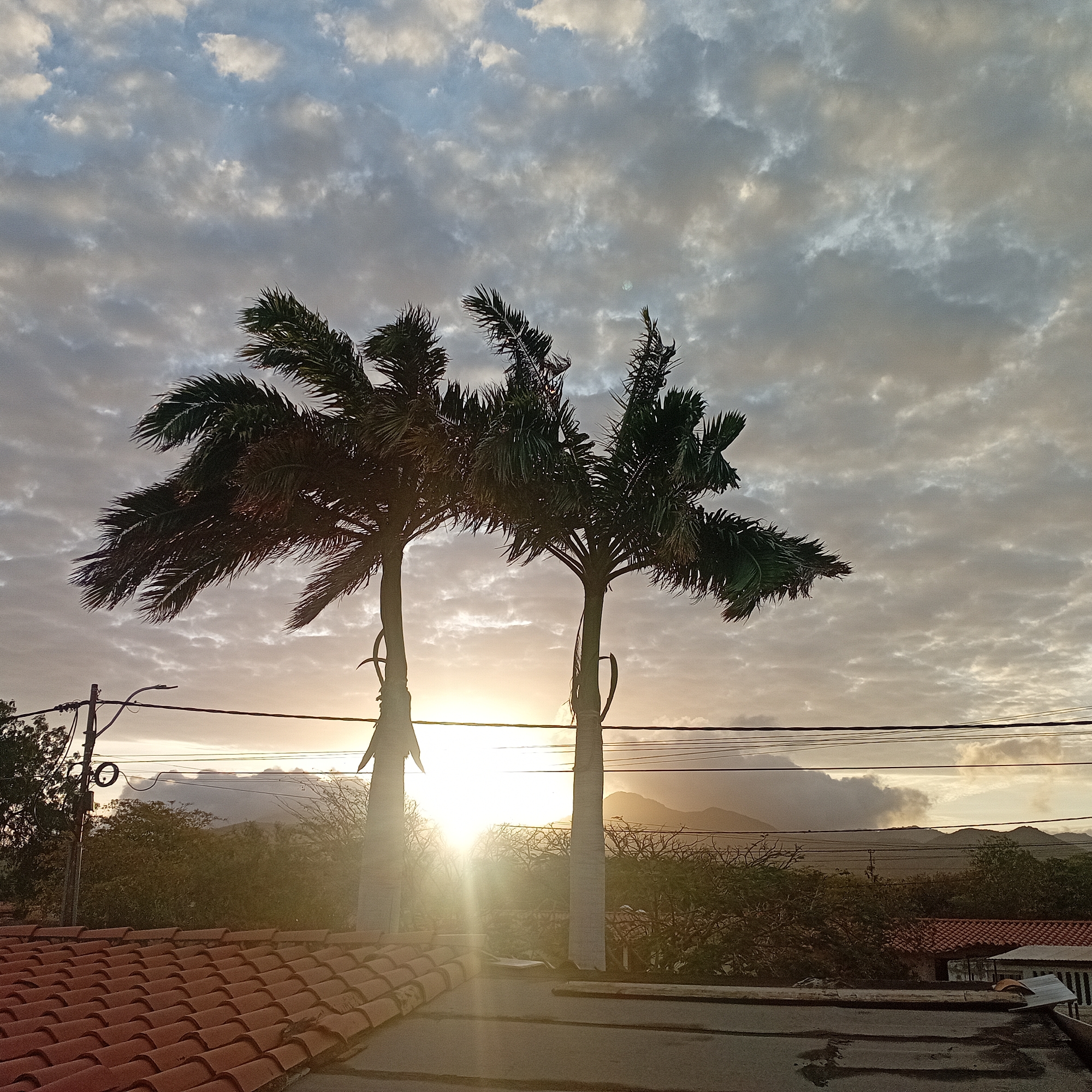 The image depicts a scene with two palm trees silhouetted against a cloudy sky and a setting sun. In the background, there is a mountain range and power lines. A red-tiled roof is visible in the foreground. The location is unknown.