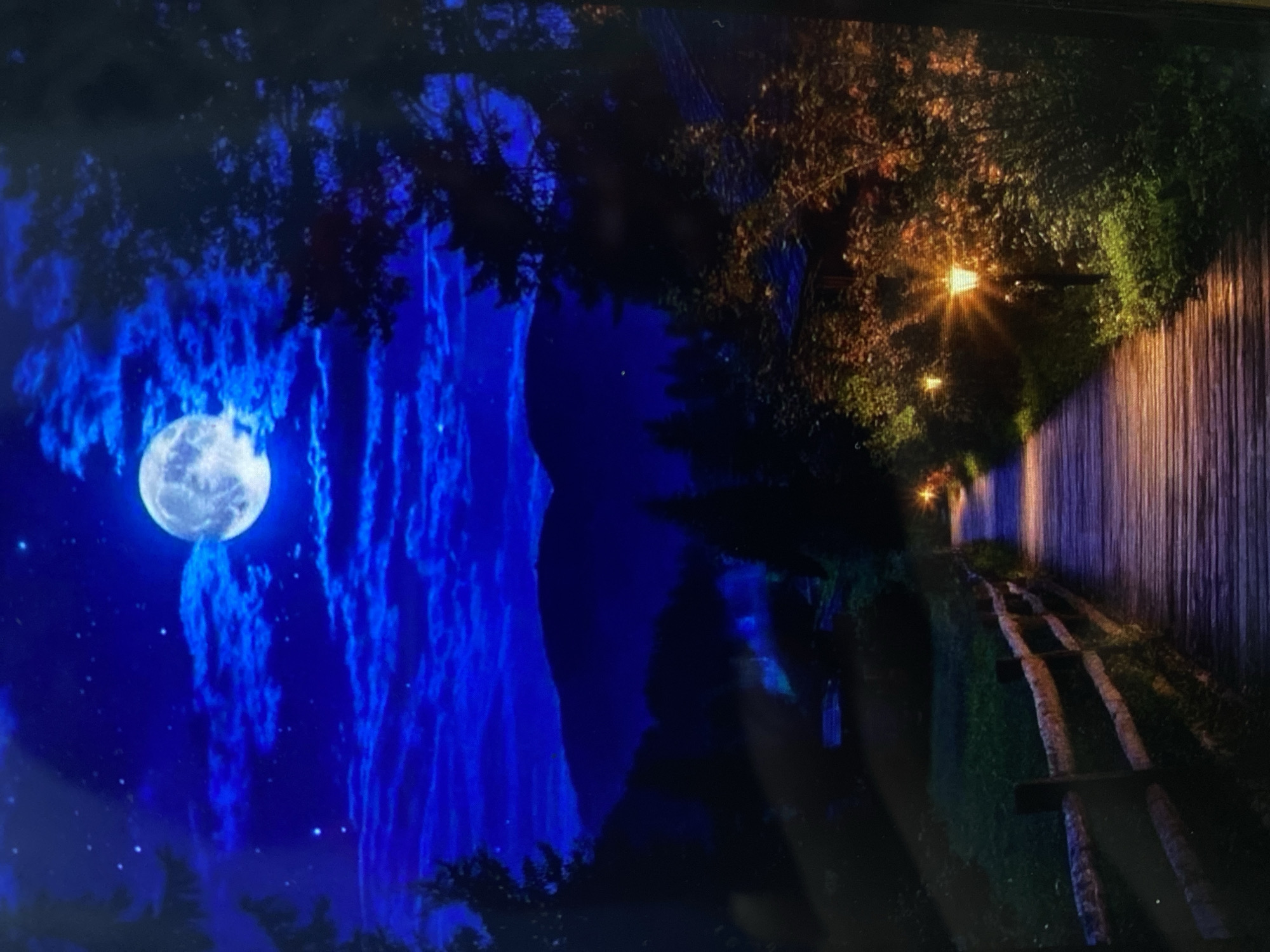 A wooden boardwalk curves through a dark landscape under a bright full moon. The boardwalk is lit by a series of evenly spaced lamps that cast a warm glow on the wooden planks and the surrounding foliage. A rustic wooden fence lines one side of the boardwalk. In the background, silhouetted mountains are visible against a deep blue, star-studded sky. Trees, some appearing to be pine, frame the scene on either side. There are no people or animals visible in the image. The location is described as Unknown, Unknown.