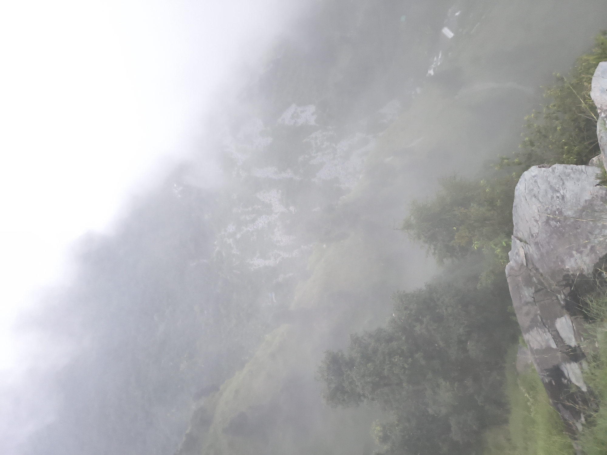 The image captures a misty mountainous landscape in Bhagsu, India. The foreground features a large, grey, irregularly shaped rock formation covered in patches of light green moss and surrounded by dry grass. Beyond the rock, the terrain slopes downwards, covered in lush green vegetation and trees. A dense layer of fog obscures the middle and far distances, creating a hazy, ethereal atmosphere. The fog partially conceals rolling hills and what appears to be a steep, rocky mountainside with some sparse vegetation. The sky is predominantly white due to the heavy fog. No people or animals are visible in the frame.