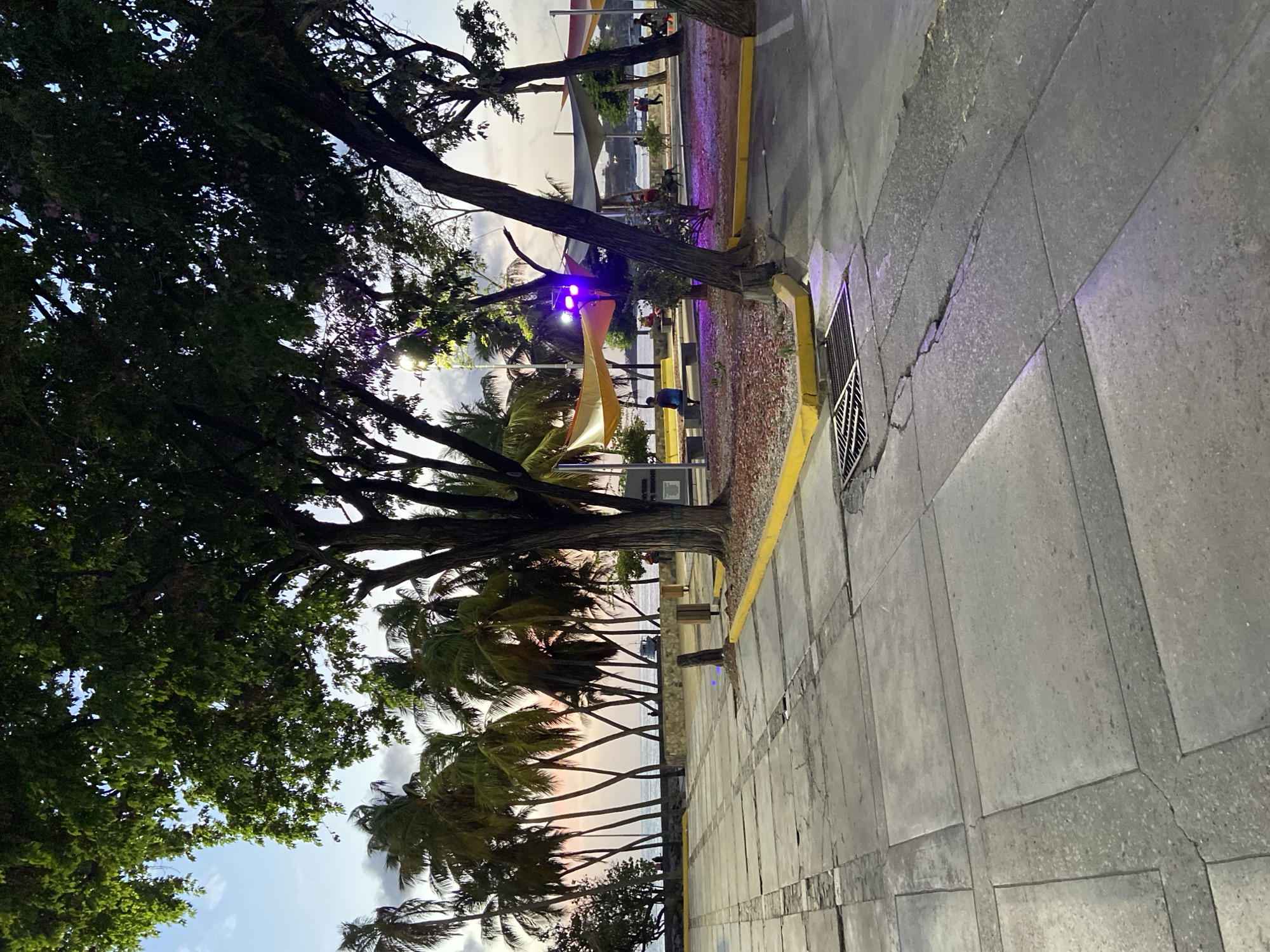 The image depicts an outdoor scene at dusk in Juan Griego, Venezuela. In the foreground, there is a paved walkway made of large concrete slabs with visible cracks and wear. A metal storm drain grate is situated on the walkway, bordered by yellow curbing. Behind the walkway, a shaded area with brown mulch and scattered leaves is visible, bordered by yellow curbing as well. Several trees with dark bark and dense green foliage are present, some casting shadows.
In the midground, there are several people seated on benches under large, colorful canopy structures. One person is seated on a bench, looking away from the camera. Another is seen from behind, facing towards the water. Purple lighting illuminates the ground in this area. Beyond the canopies, a line of palm trees with slender trunks and fronds are silhouetted against the sky.
In the background, the calm ocean is visible, with a faint pink and orange hue in the sky indicating sunset or twilight. A small boat or vessel is present on the water. Further in the distance, more palm trees and buildings are faintly discernible along the coastline. The overall atmosphere suggests a public space, possibly a waterfront promenade or park, during the evening hours.
