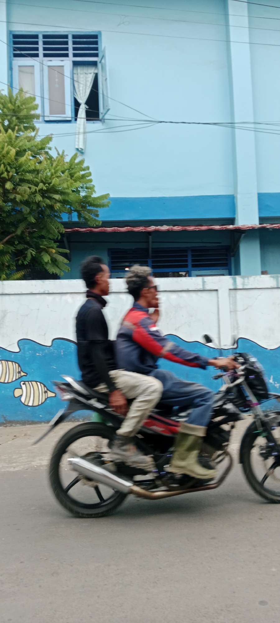 In the city of Purwomartani, Indonesia, two individuals are captured in motion on a motorcycle, traveling along a paved road. The motorcycle, a dark-colored model with visible chrome accents on the exhaust and wheels, carries two passengers. The person in the rear, wearing a black shirt and a dark neck gaiter, is partially obscured by the rider. The rider, in front, is wearing a blue jacket with red and white accents, blue jeans, and light green boots. They are operating the motorcycle, with their hands on the handlebars. The background features a light blue building with a row of windows with louvers and a blue trim. A white wall with a blue wavy mural, depicting two stylized yellow and white fish, runs along the side of the road. Green foliage from a tree is visible to the left of the building. The scene is characterized by motion blur, indicating movement.