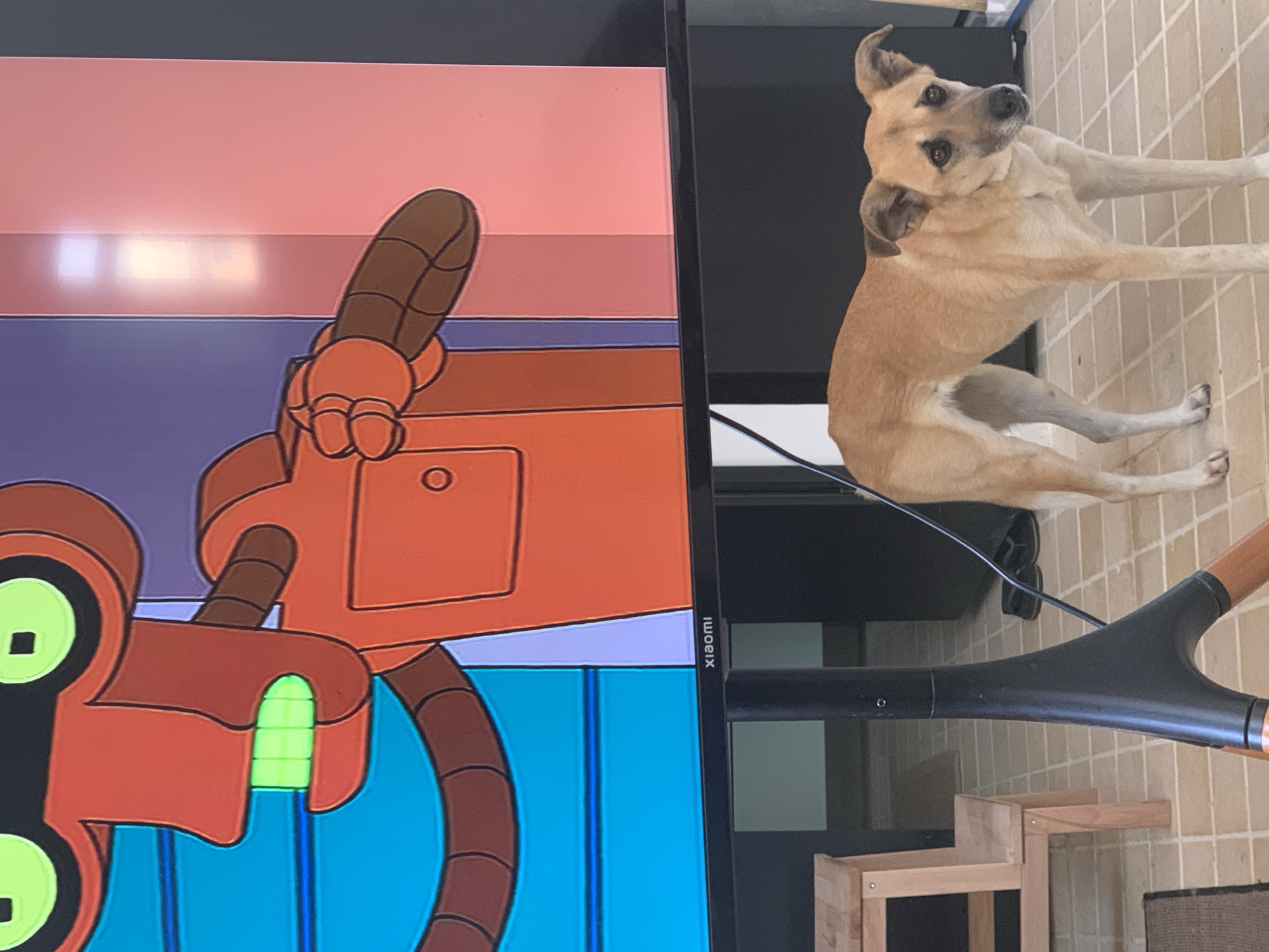 A tan dog stands on a tiled surface next to a television displaying a cartoon. The television's brand, "Xiaomi," is visible on the side. The scene includes furniture such as a small wooden chair. The location is unspecified, and there is no indication of Tel-Aviv, Israel.