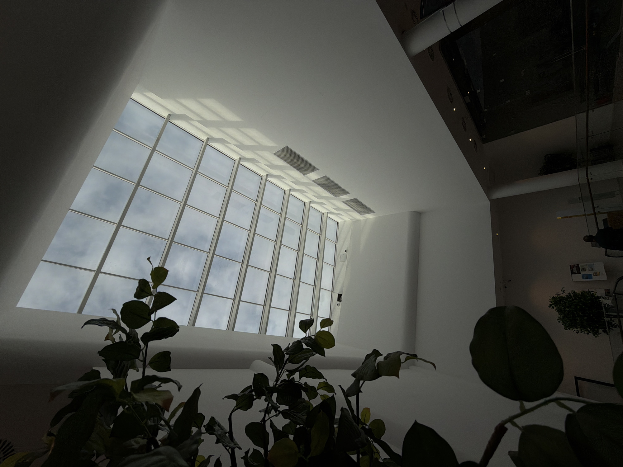 The image captures an interior space in Moscow, Russia, featuring a large, angled skylight comprised of numerous rectangular panes showing a cloudy sky. The ceiling is white and contains linear air vents. A partial view of an upper floor with a dark, reflective surface is visible. In the foreground, several leafy plants with green foliage obscure the lower portion of the view. The surrounding walls are white, and a smaller green plant is seen further in the background, adjacent to a wall displaying several framed pictures.