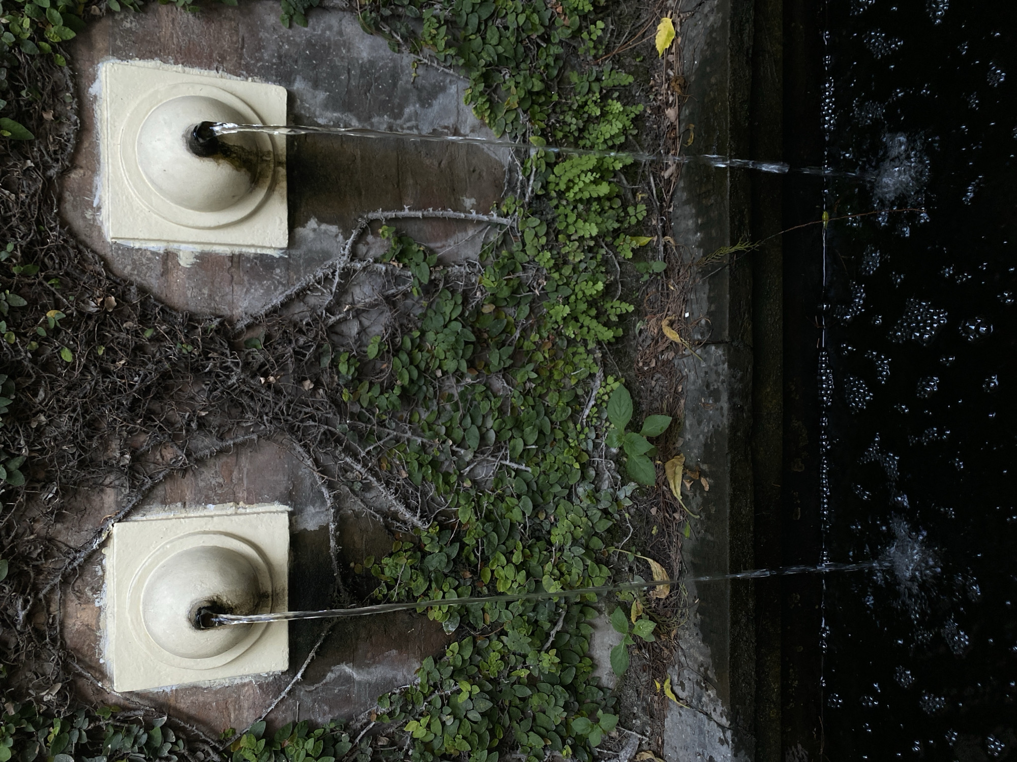 The image shows two decorative water spouts on a brick wall covered in ivy and vines. Water streams from each spout into a dark pool of water below, creating ripples and bubbles. The scene appears to be in a garden or courtyard setting, with fallen leaves and some small plants visible at the base of the wall. The specific location in Kathmandu Metropolitan City, Nepal, cannot be determined from the image alone.