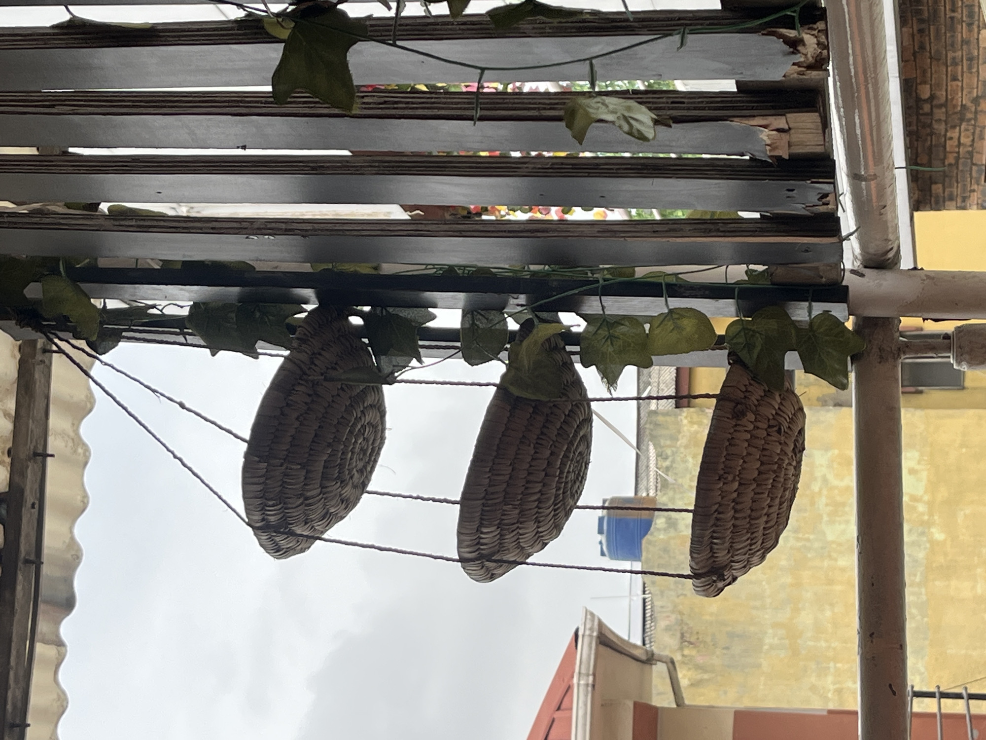 The image shows a low-angle view of three straw-woven hanging decorations, resembling teardrops or elongated gourds, suspended beneath a gray wooden trellis or pergola. Artificial green vines with leaves are draped along the trellis and around the hanging decorations. The background reveals a section of a building with a yellow-painted exterior and an unclear, overcast sky. It is daytime. The location is Ado, Nigeria.