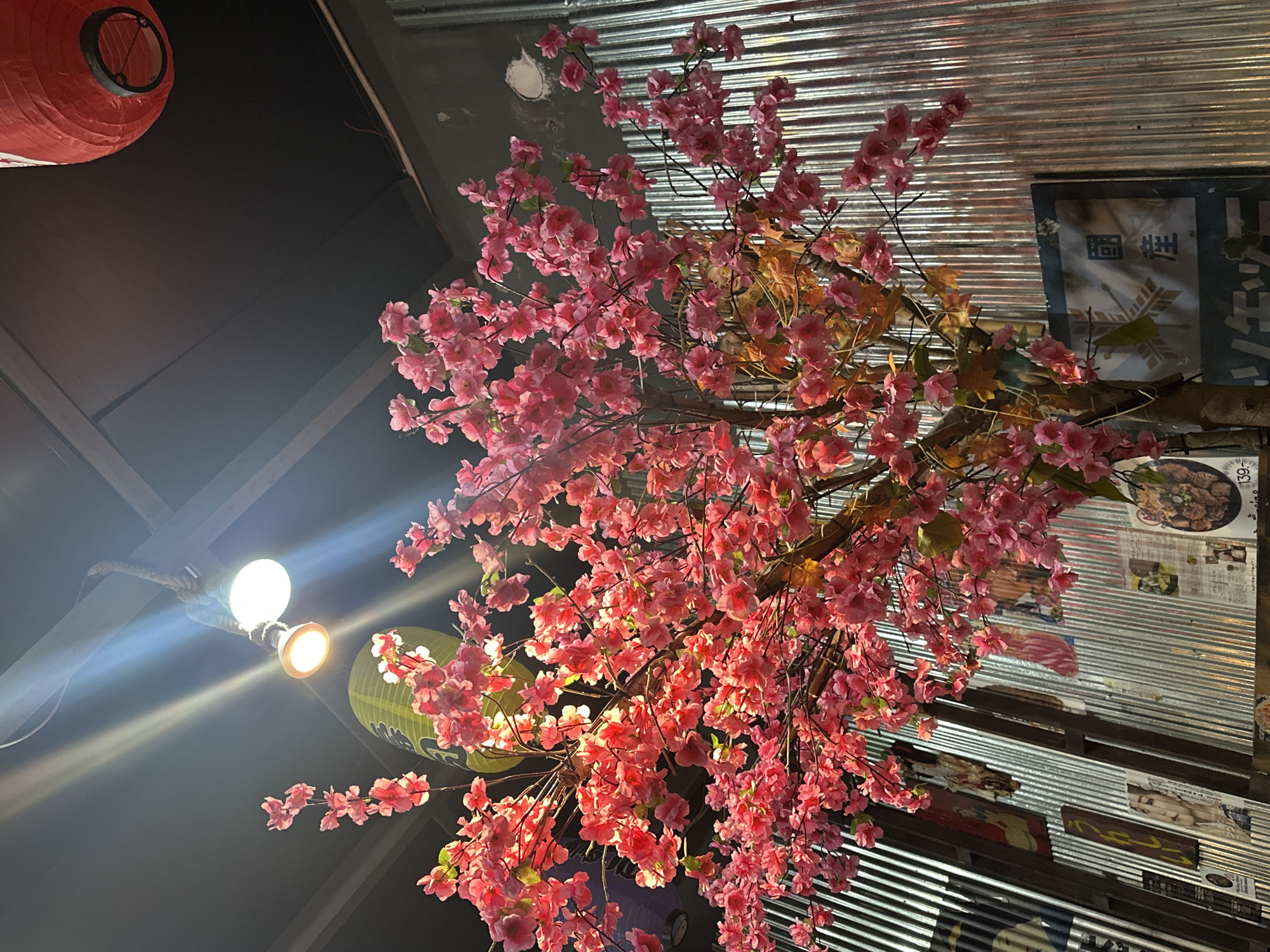 The image depicts a scene from Pattaya City, Thailand. A faux cherry blossom tree with pink flowers dominates the view, its branches reaching across the frame. A red paper lantern is visible in the top left corner, while a green one is partially obscured in the middle-left. Two exposed light bulbs are attached to the ceiling. The background is corrugated metal, adorned with posters and signs in Thai.