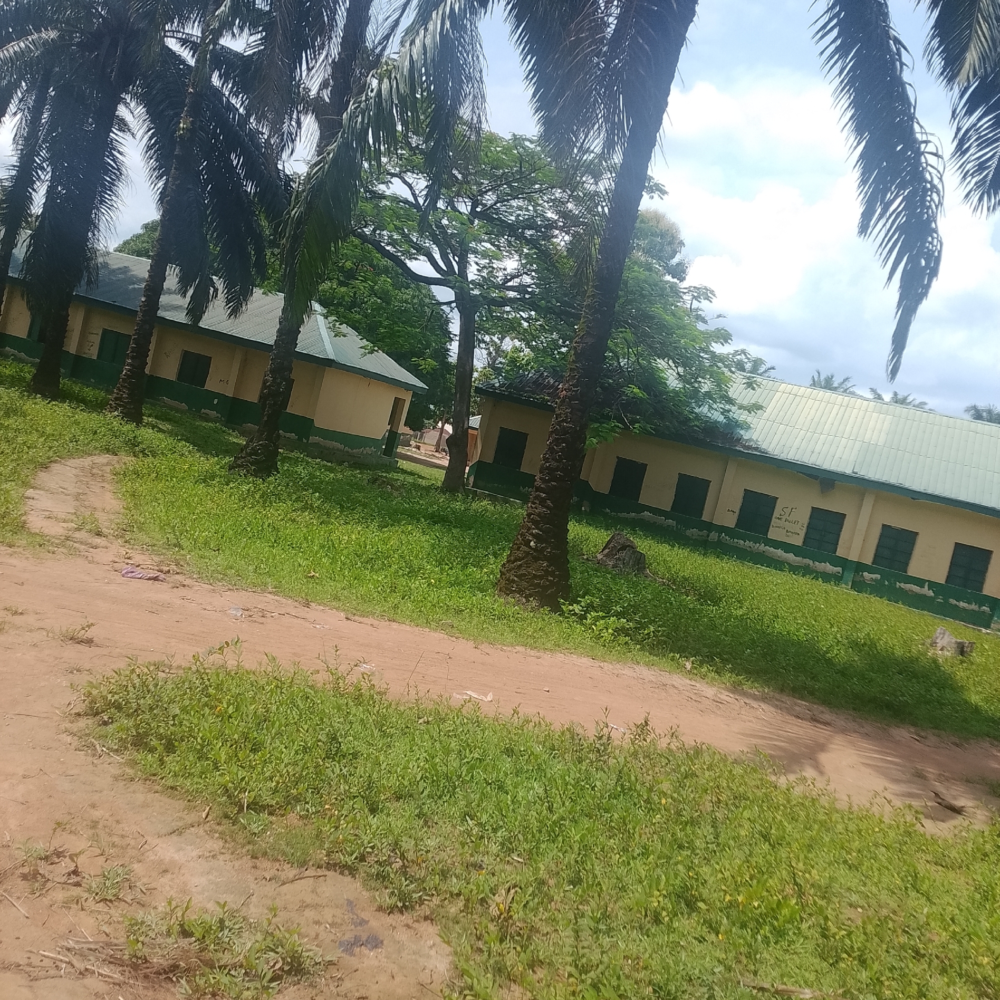 An eye-level, wide shot captures a dirt path winding through lush green grass in front of a pale yellow building with a green trim and a silver, sloped roof. Several tall palm trees with dark brown trunks and feathery fronds stand in front of the building, casting shadows. The building appears to be a school, with multiple dark green windows visible along its facade. Inscriptions are visible on the wall of the building, including "SF", "SAVE PULLET", and some illegible writing. The sky above is a mix of light blue with scattered white clouds. To the left of the path, some litter, including a crumpled purple object and white plastic, is visible. The scene suggests an outdoor, rural environment, possibly a school campus, under a daytime sky.