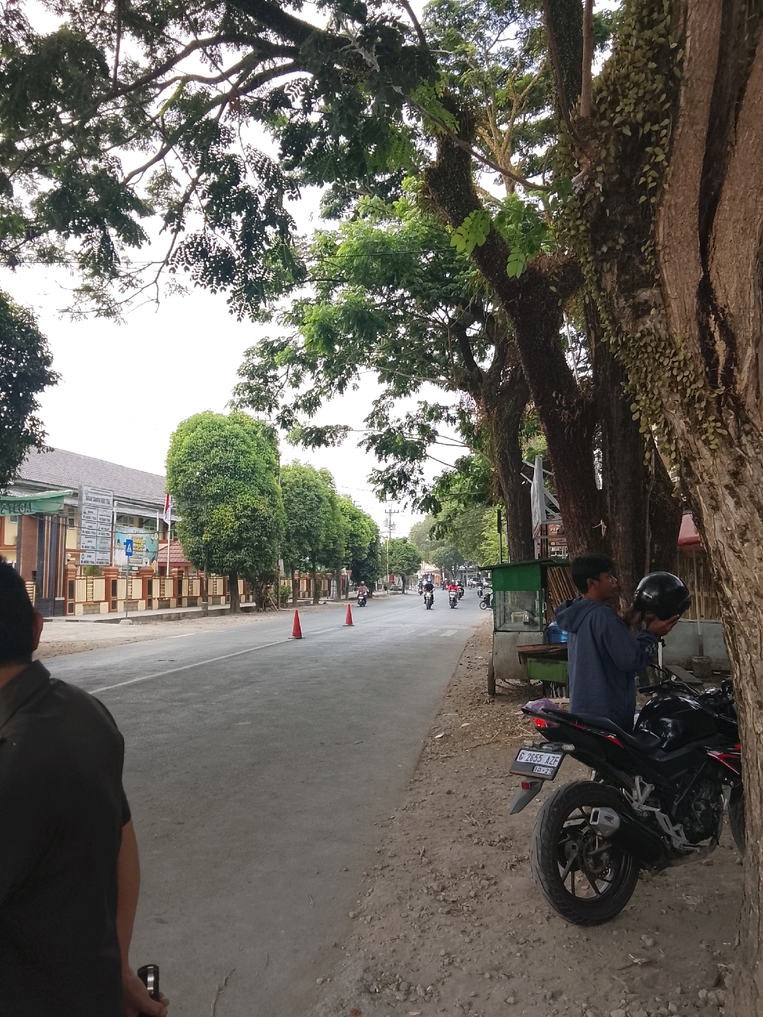 The image depicts a street scene in Slawi, Indonesia, likely on a road with a school on the left side. A person in the foreground, viewed from behind, walks away from the camera. To the right, a young man wearing a blue hoodie stands beside a black motorcycle, holding a black helmet. The motorcycle has a license plate that reads "G 2655 AZF 10-25". The street is lined with large trees, their trunks thick and gnarled, with some smaller plants growing on them. In the distance, several motorcycles are seen on the road. Orange traffic cones are placed on the side of the road. The sky is overcast, and the overall atmosphere suggests it is daytime.