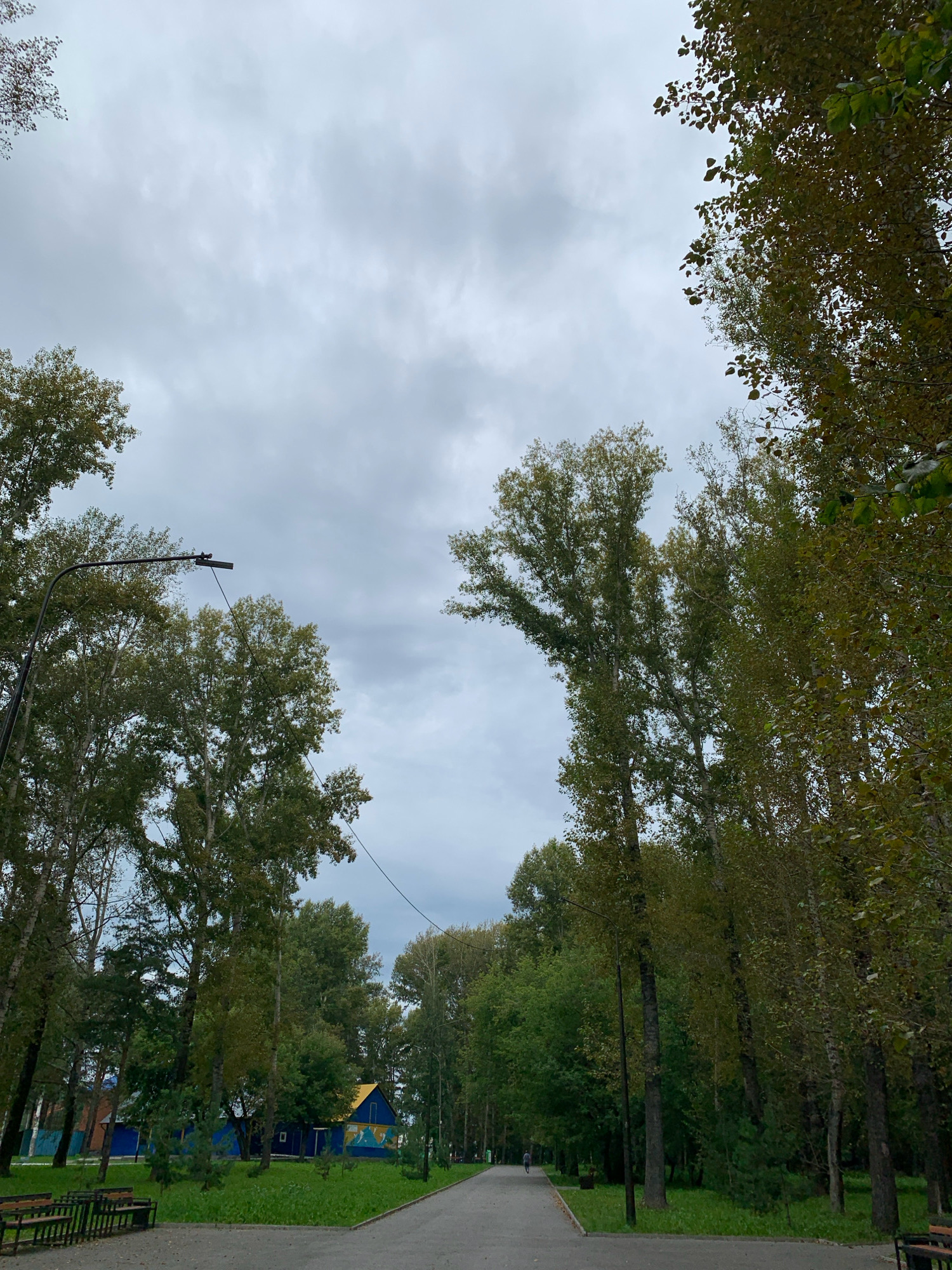 An overcast day in Prokopyevsk, Russia, with a park scene. Tall trees with green and yellowing leaves line a paved path. On the left side of the path, there are benches and a low fence. Further in the background, a blue building with a yellow roof and a mural is visible, surrounded by grass and more trees. The sky is heavily clouded, suggesting a cool, possibly autumn day. A lone pedestrian is visible in the distance on the path. The overall atmosphere is subdued and quiet.
