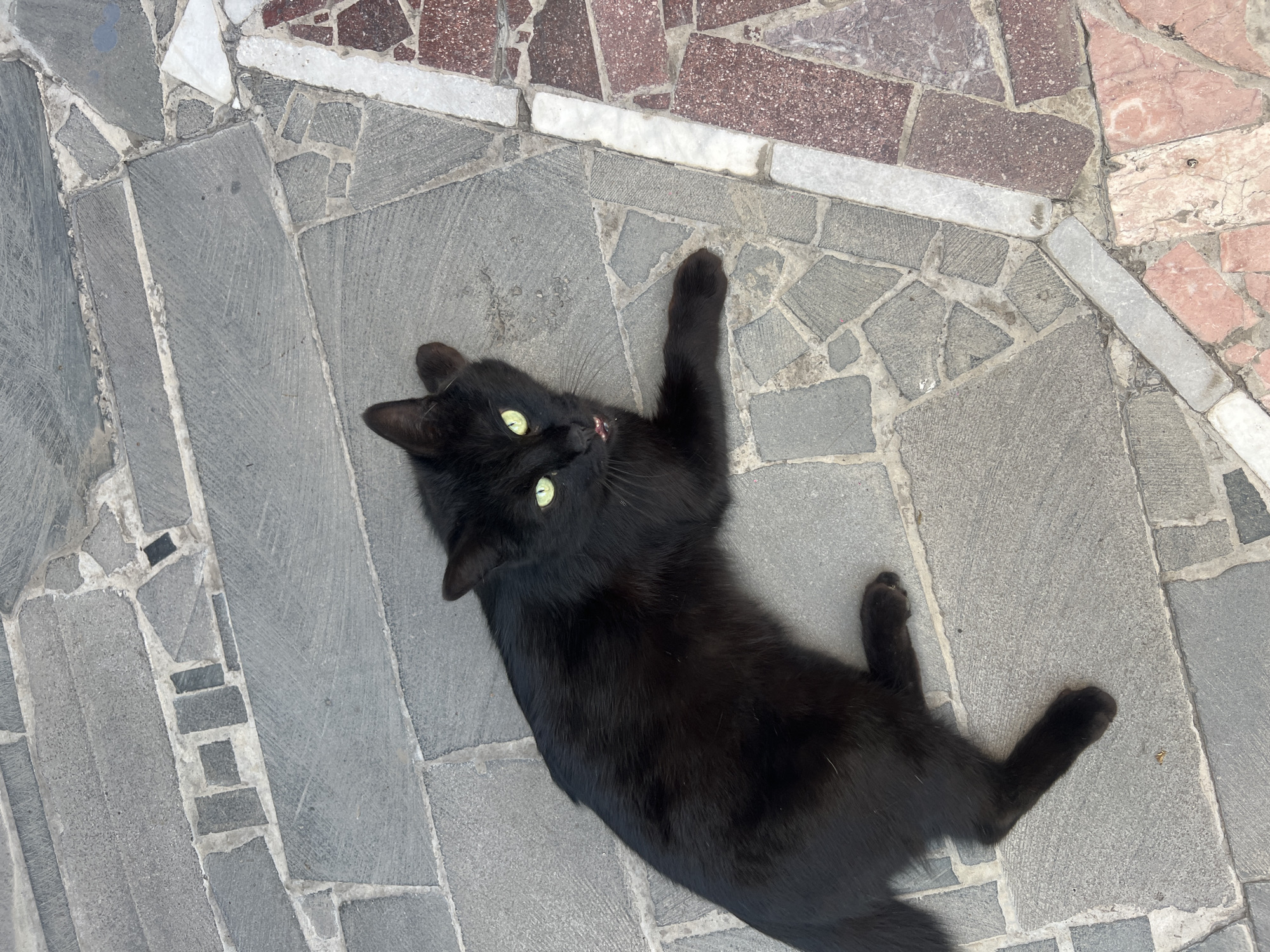 A black cat lies on a patterned stone surface. The stone surface is a combination of gray and reddish-brown stones, with white accents. The cat is on its back, with its paws stretched up. The cat has green eyes and appears to have a small, pink tongue sticking out. Location: Unknown, Unknown.