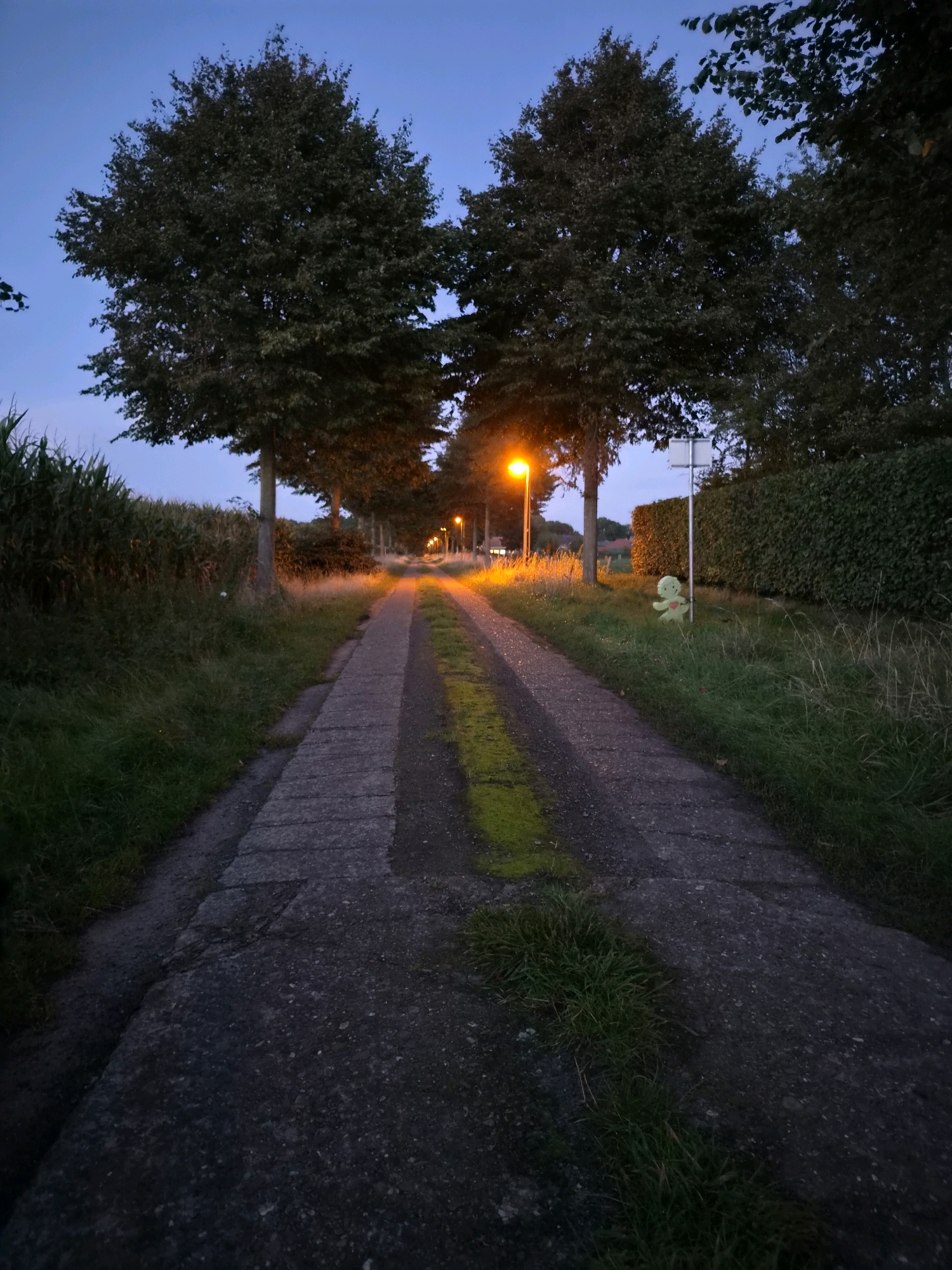 The image depicts a paved path leading through a rural area at dusk. The path is bordered by grass and trees on either side. Several streetlights illuminate the path, casting an orange glow. In the background, there is a hedge and what appears to be a cornfield. A small, green, cartoonish figure with a heart is visible on the right side of the path, near a white signpost. The sky is a deep blue, indicating the transition from day to night. The scene is tranquil and evokes a sense of peacefulness. The location is identified as Schiffdorf, Germany.