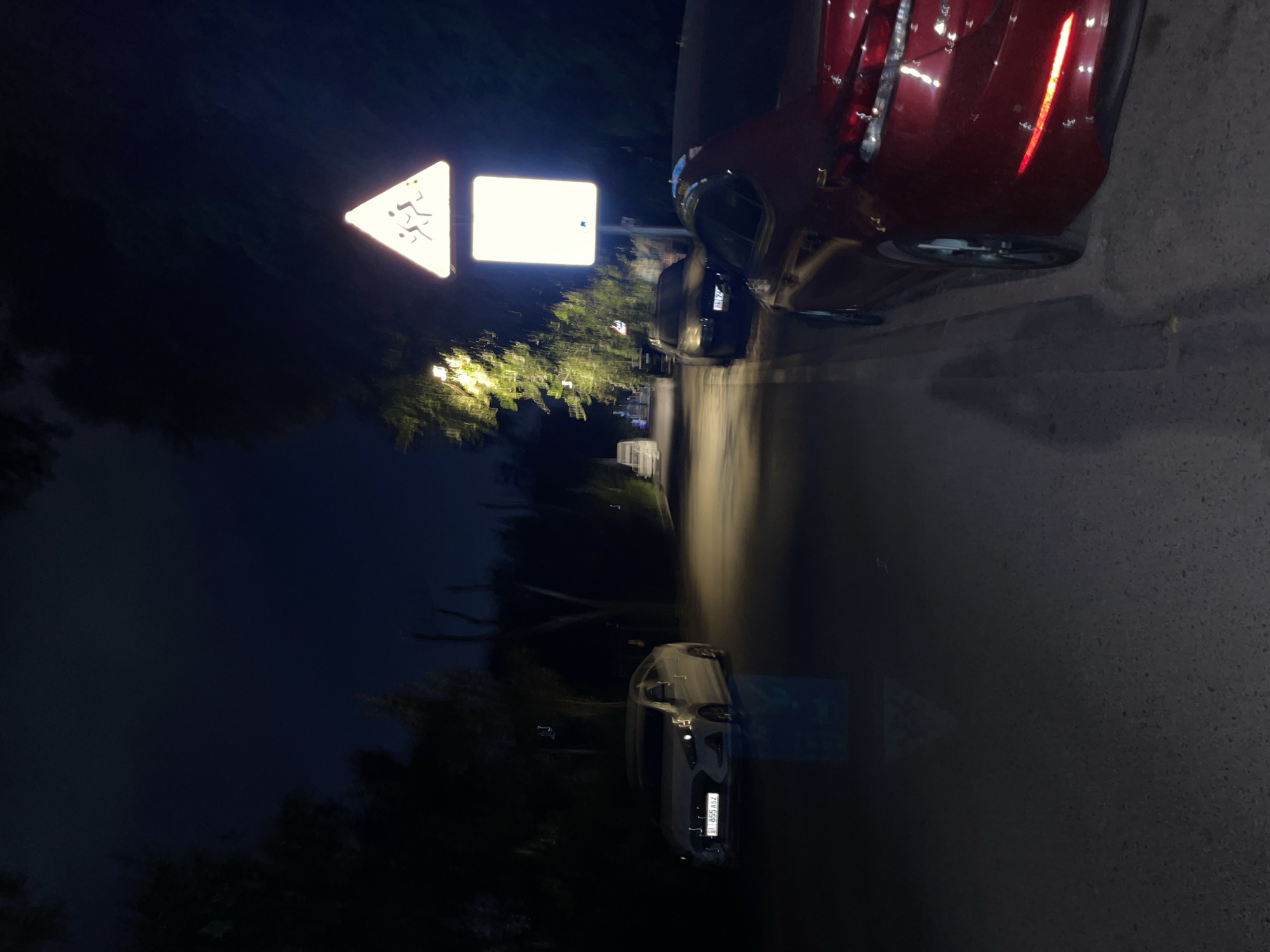 A nighttime street scene in Bishkek, Kyrgyzstan, shows parked cars along a dimly lit road. A white sedan is parked on the left side of the road, its headlights on and casting a reflection on the asphalt. A dark-colored car is parked further down the street on the right, partially obscured by a red car parked in the foreground. A pedestrian crossing sign, illuminated and triangular with silhouettes of children, is visible on the right side of the road. Trees line the street, their branches creating dark silhouettes against the night sky. Streetlights are visible, casting a warm glow on the trees. The ground is paved, and shadows of the cars and trees are cast on the road.