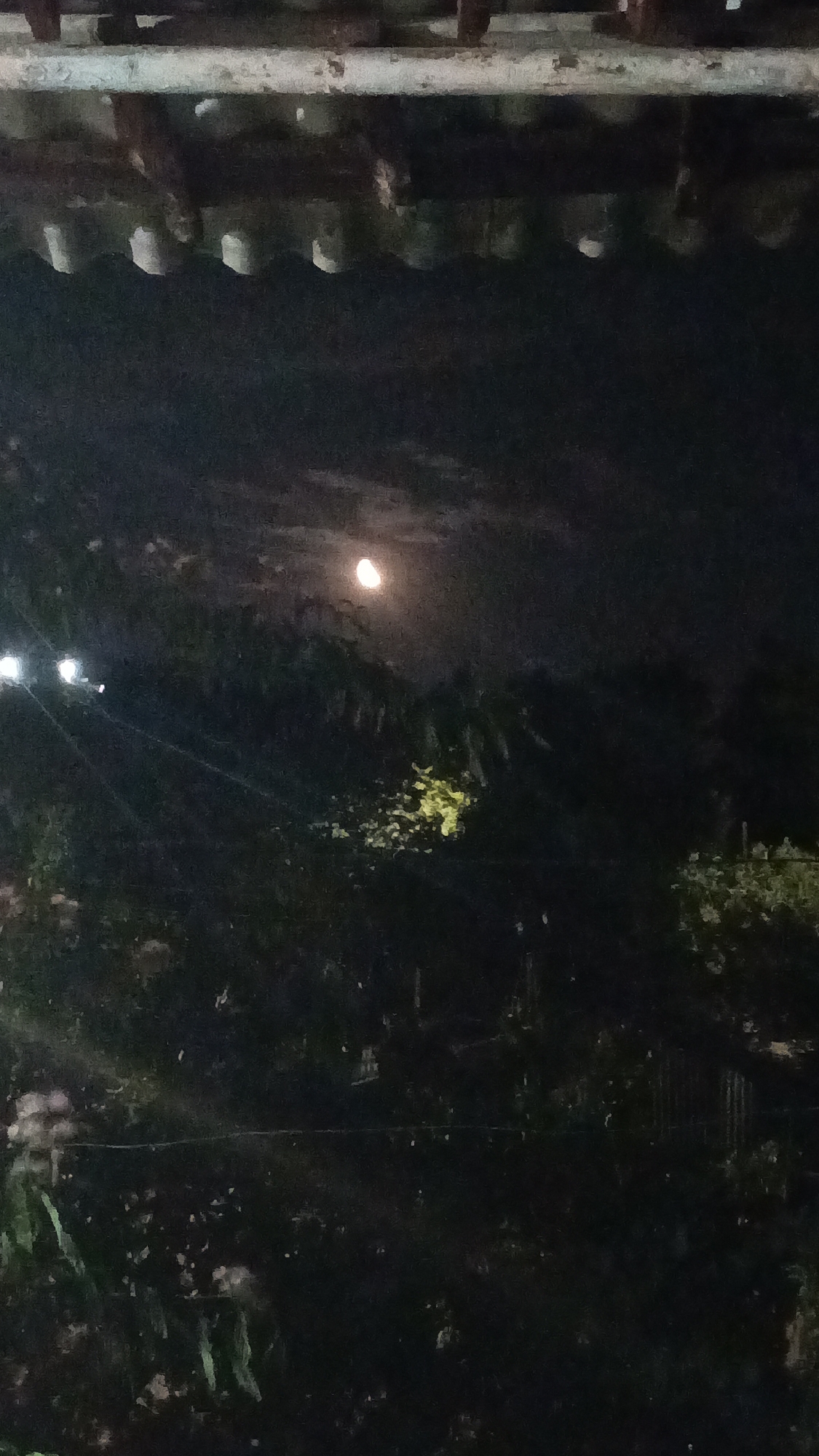 A moonlit night scene is depicted, viewed from beneath a wooden overhang. The moon is visible in the upper center of the frame, partially obscured by clouds, casting a dim light. In the foreground, the dark silhouettes of trees and foliage are discernible. The scene appears to be an outdoor setting, possibly a backyard or garden, with a hint of an urban environment suggested by distant lights on the left side of the image. The overall impression is one of a peaceful, quiet night.