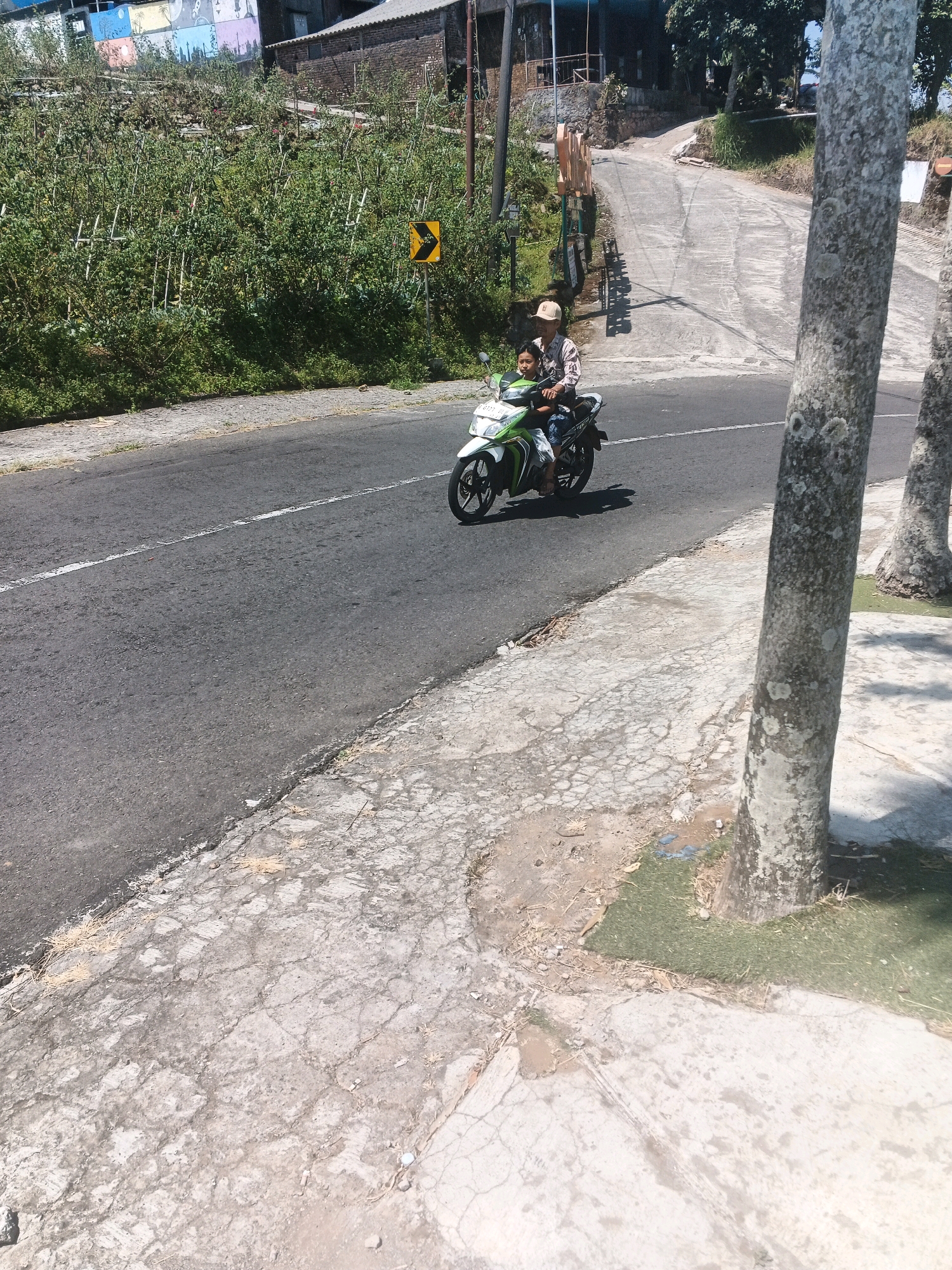 In Candi, Indonesia, a person wearing a hat rides a green and white motorcycle down a paved road. Behind the rider, a child is seated on the back of the motorcycle. The road is bordered by a cracked concrete sidewalk and lush green vegetation on one side. In the background, buildings and trees are visible, suggesting a semi-rural or suburban setting. The sun is shining, casting shadows on the ground, indicating it is daytime.