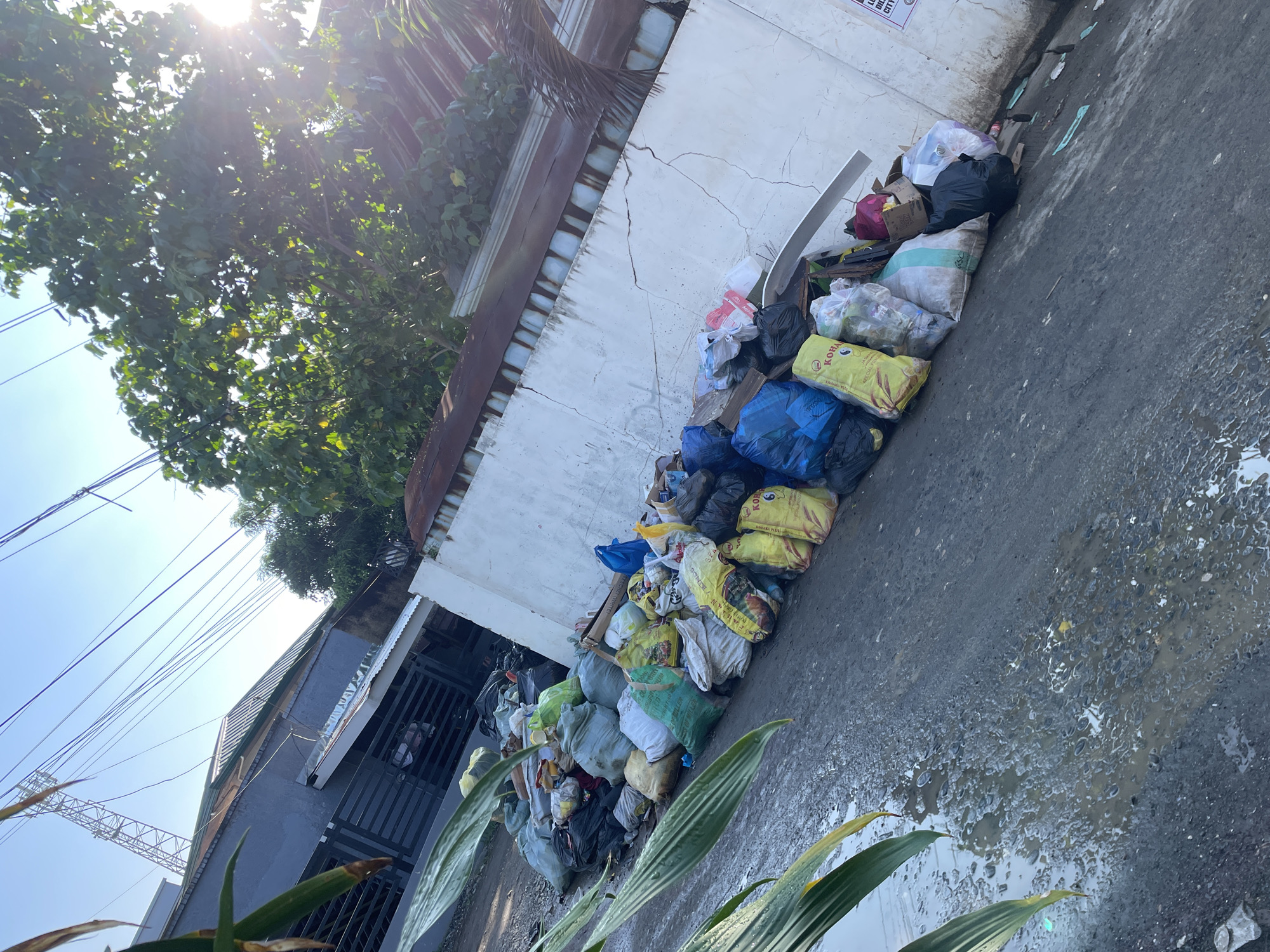 The image presents a sunlit outdoor scene, likely an alleyway or a narrow street in Davao City, Philippines. The primary subject is a substantial accumulation of garbage, consisting of numerous plastic bags and woven sacks filled with waste, piled against a weathered, white concrete wall that occupies the right side of the frame. These bags display various colors, including black, blue, yellow, white, green, and red/pink. Some sacks are repurposed, with visible text such as "KOHA" and "RICE," hinting at former food contents. The concrete wall is cracked and aged.
The ground surface is dark and appears to be asphalt or rough concrete, featuring several puddles and wet patches, suggesting damp conditions. Lush green foliage, including a dense tree canopy with bright sun rays piercing through it in the upper left, and smaller plants in the foreground, provides natural elements to the scene. Overhead, multiple black power lines stretch across a clear blue sky.
On the left, a building with a dark gray or blue facade and a gated entrance is visible, topped with a corrugated metal roof. No people are present, and the scene depicts the static accumulation of waste. The strong sunlight indicates it is either morning or late afternoon. A small, partially visible white sign on the wall behind the garbage has fragmented text such as "...TMENT OF..." and "...CITY...".