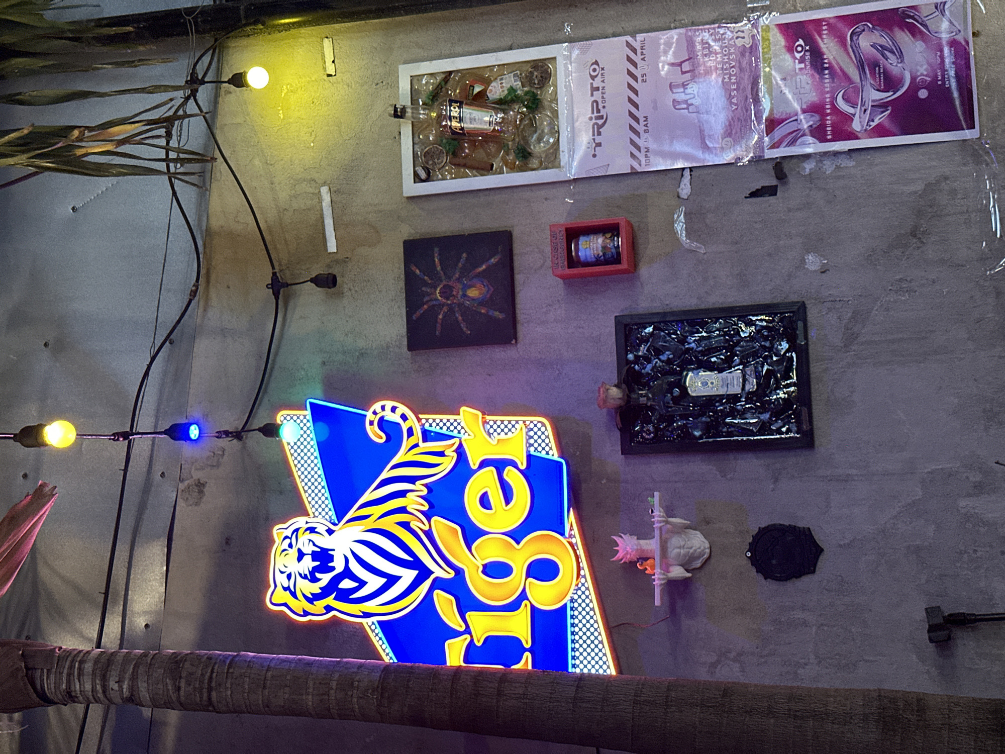 The image shows a cluttered wall display, likely in a bar or entertainment venue. On the wall are various framed and unframed items including promotional posters, decorative items like a spider motif, a small framed case with a beverage can inside, and a piece with shattered glass. A prominent neon sign shaped like a tiger and the word "TIGER" dominates the lower portion of the image. A string of decorative lights, part of a bamboo post, and the wall's rough texture are also visible. The OCR of the image indicates promotional details for events, including names like "TRIPTO OPEN AIRX," along with dates and times ("25 APRIL," "10PM BAM"), and names of performers such as "MARS," "KBING," "MISHOUJO," and "YASENOVSKAYA." The text also indicates a location, "SHEIDA KOING COSAN ZAN EMPEST". Based on the image's style, content, and details such as the "TIGER" brand neon sign and the likely location indicated in the OCR, the image is likely taken in Đà Nẵng, Vietnam, where the Tiger Beer brand is popular and such establishments and design styles are common.