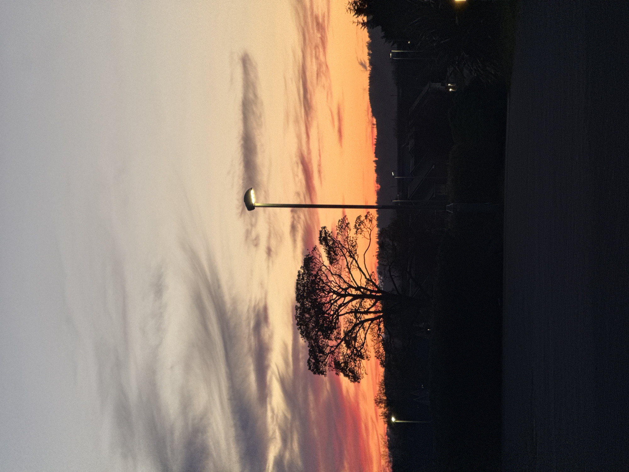 This image captures an outdoor scene at sunset, presented with a vertical orientation (rotated 90 degrees counter-clockwise from its likely original capture). The dominant feature is a vibrant sky, transitioning from light gray and white with subtle cirrus clouds on the left, to striking hues of orange, pink, and purple near the horizon on the right.
Silhouetted against this colorful sky are several key subjects. A tall, modern streetlamp stands in the mid-ground, its light glowing softly. To its left, a large, distinct tree with intricate, leafless branches forms a prominent dark silhouette against the warmest part of the sunset. Further to the right, a dark, undulating treeline or distant hills are visible along the horizon, with a few smaller, distant lights dotting the darkness. The immediate foreground on the far right of the image is a dark, undefined paved surface, possibly a road or pathway, also in silhouette.
The time of day is clearly sunset, evidenced by the rich sky colors and the strong backlighting creating deep silhouettes. The weather appears clear with some atmospheric wisps of clouds. There are no people visible, nor any discernable text. The setting suggests a semi-urban or park-like environment, peaceful and illuminated by both natural and artificial light.