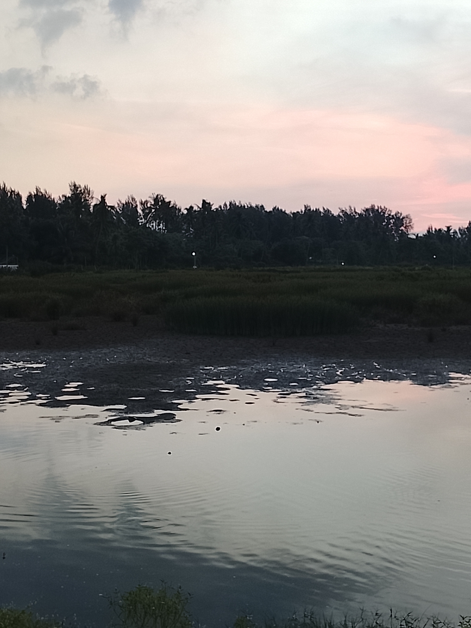 The image depicts a serene natural scene, likely a wetland or marsh, with a body of water in the foreground. The water is calm, reflecting the soft pastel colors of the sky, which is transitioning from dusk to night with hues of pink and grey. A dark line of dense trees, possibly a mangrove forest or a tropical treeline, forms the backdrop. The foreground shows mudflats with patches of water, suggesting a tidal area. Small white specks on the mudflats could be birds or debris. The overall atmosphere is peaceful and tranquil, characteristic of a natural landscape at twilight. No specific location in Reudeuep, Indonesia is identifiable from the image alone, but the tropical vegetation suggests a coastal or wetland environment within that region.