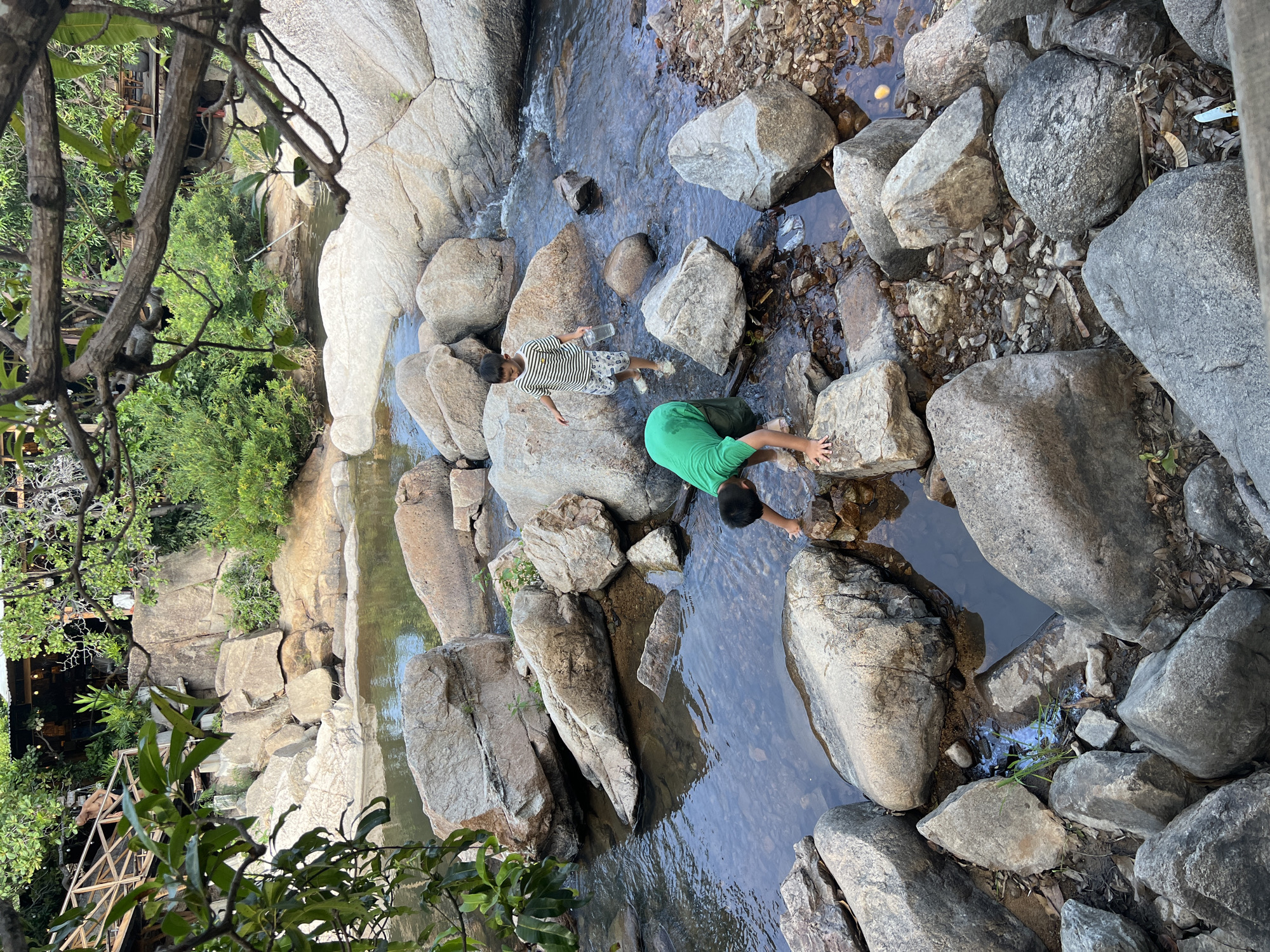 This vertical outdoor image, captured in Vĩnh Hải, Vietnam, displays a natural stream or riverbed populated by numerous large boulders. Two young Asian boys are present in the shallow, clear water. On the left side of the frame, a boy wearing a green short-sleeved shirt and dark shorts is bent over, facing away from the camera, with his hands submerged in the water next to a large, light-colored rock. To his right and slightly further into the stream, a second boy, dressed in a striped short-sleeved shirt and patterned shorts, stands upright in the water, holding a clear plastic cup. The stream flows over and around a multitude of grey and brown rocks, with some areas showing visible current. Dense green vegetation, including trees and bushes, lines the banks of the stream and extends into the background. In the upper left background, a wooden bridge or walkway is partially visible, leading towards a structure mostly obscured by foliage. In the upper right background, a building with a dark roof is partially discernible through the trees. Overhanging tree branches and leaves frame the top and left edges of the image.