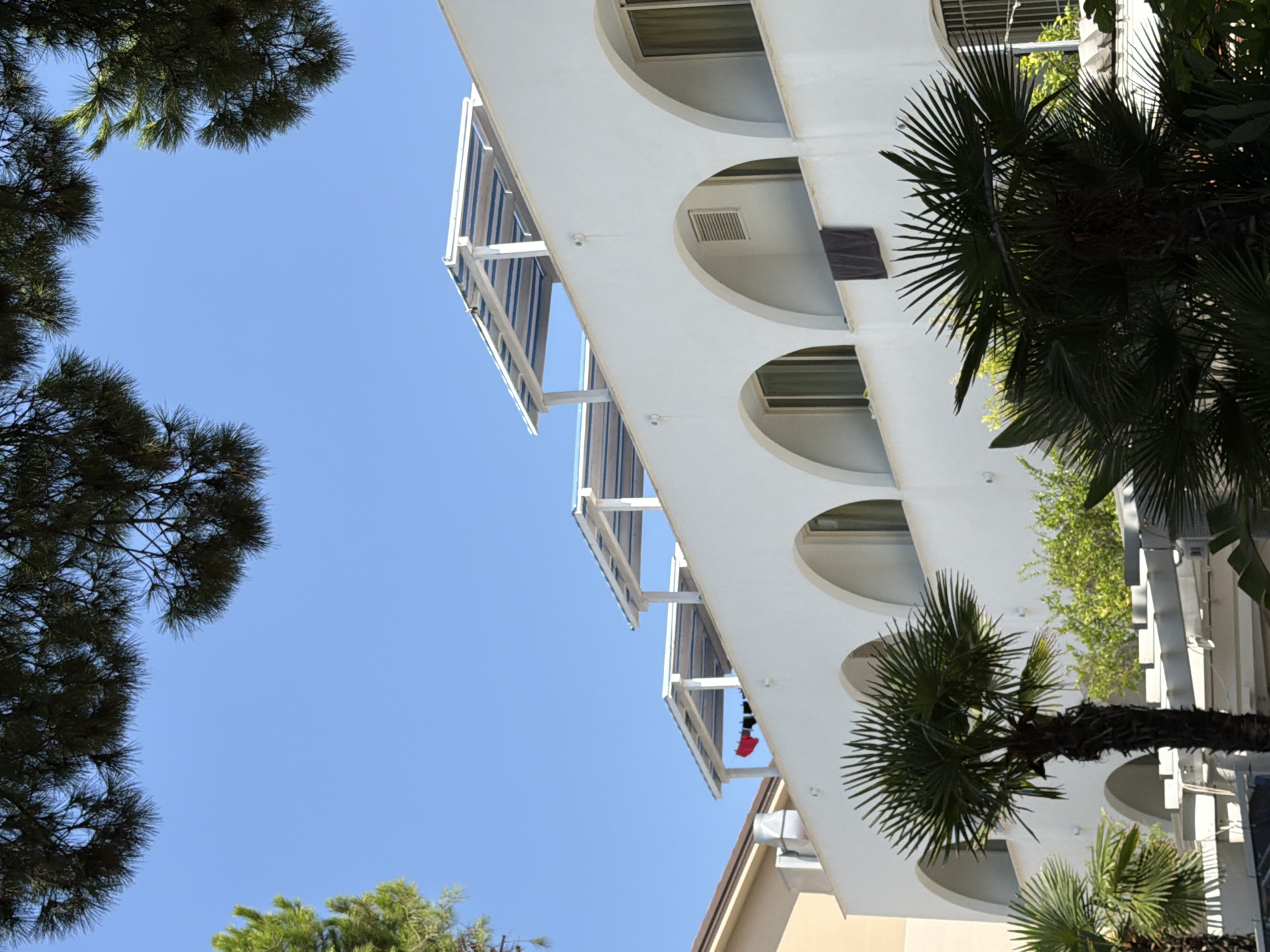 This image depicts a white building with arched windows and balconies on a sunny day in Gatteo, Italy. The building has several awnings with blue and white stripes. Two palm trees are in the foreground, with one in the center of the image and another to the left. Lush green vegetation is visible behind the palm trees. Pine branches hang down from the top of the frame, framing a clear blue sky. Laundry, including red and dark-colored items, is hanging on a clothesline on one of the balconies. A dark towel is also hanging over a balcony railing. The scene conveys a sense of a warm, Mediterranean atmosphere.