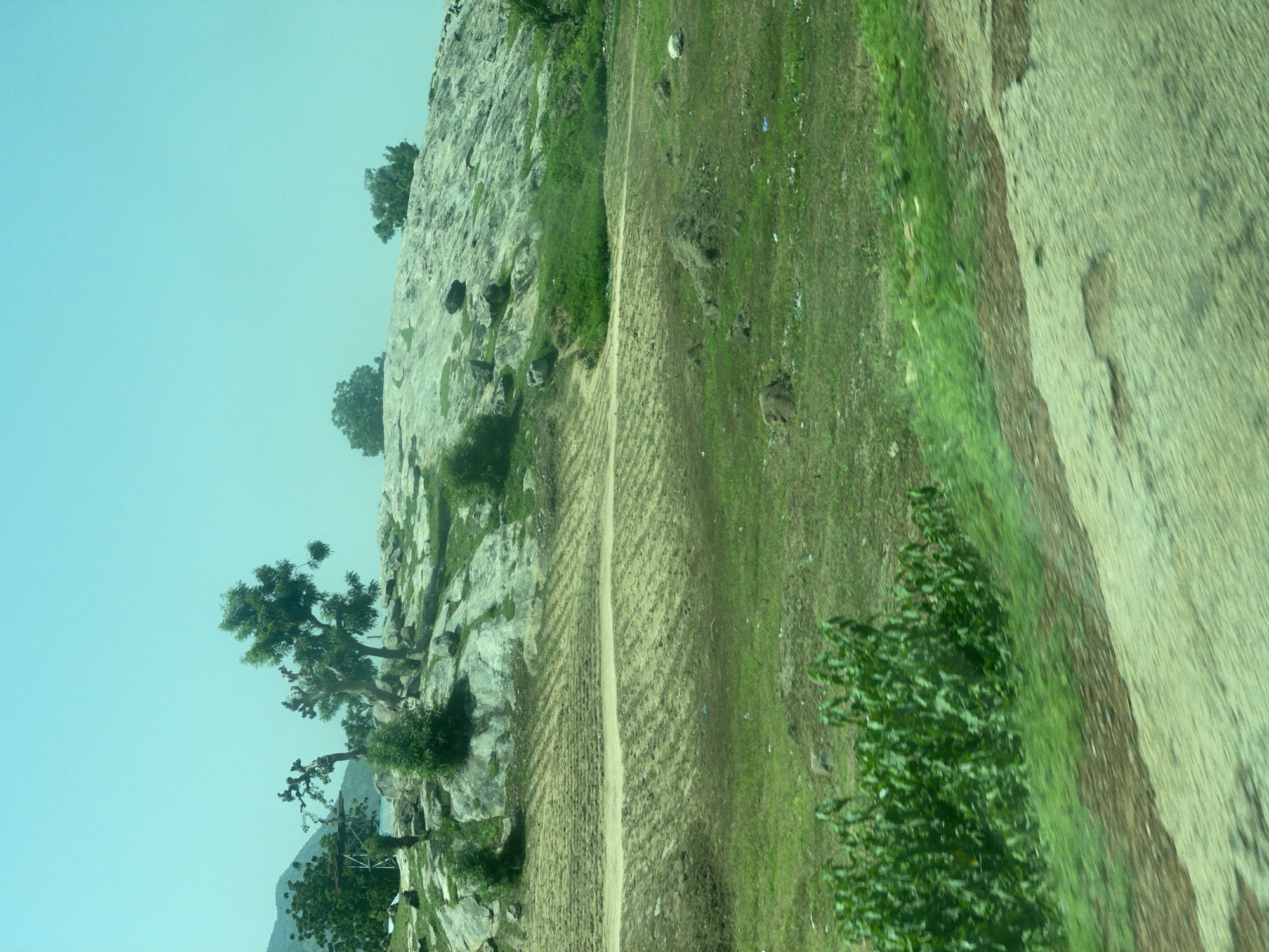The image depicts a rural landscape in Jama'a, Nigeria, characterized by a rocky hill covered with sparse vegetation and trees. In the foreground, a cultivated field with rows of crops is visible, extending towards a dirt road. Further down, a dense patch of green bushes creates a vivid contrast against the drier earth. The sky is a clear, pale blue. The overall scene suggests a semi-arid environment, possibly during the dry season, with evidence of agricultural activity.