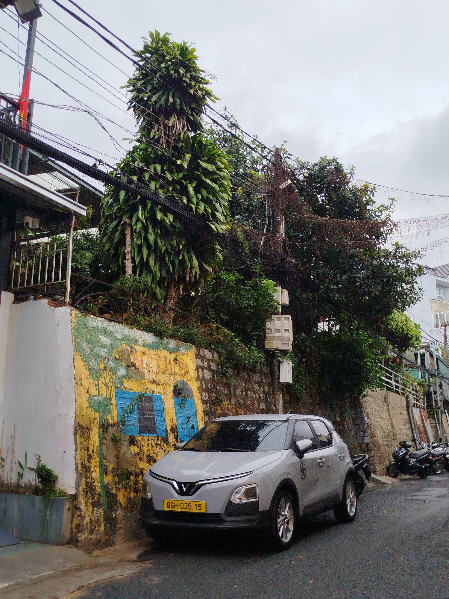 The image depicts a street scene in Da Lat, Vietnam, characterized by dense vegetation, overhead power lines, and distinctive architecture. A silver VinFast car with the license plate 86H-035.15 is parked on the left side of the street, next to a wall with a yellow and blue mural. The wall has blue painted window frames. Above the wall, there's a large tree covered in dense foliage. To the right, a stone wall supports more vegetation and a cluster of electrical utility boxes. The street slopes uphill, and in the background, several parked motorbikes are visible. The sky is overcast, suggesting humid weather.