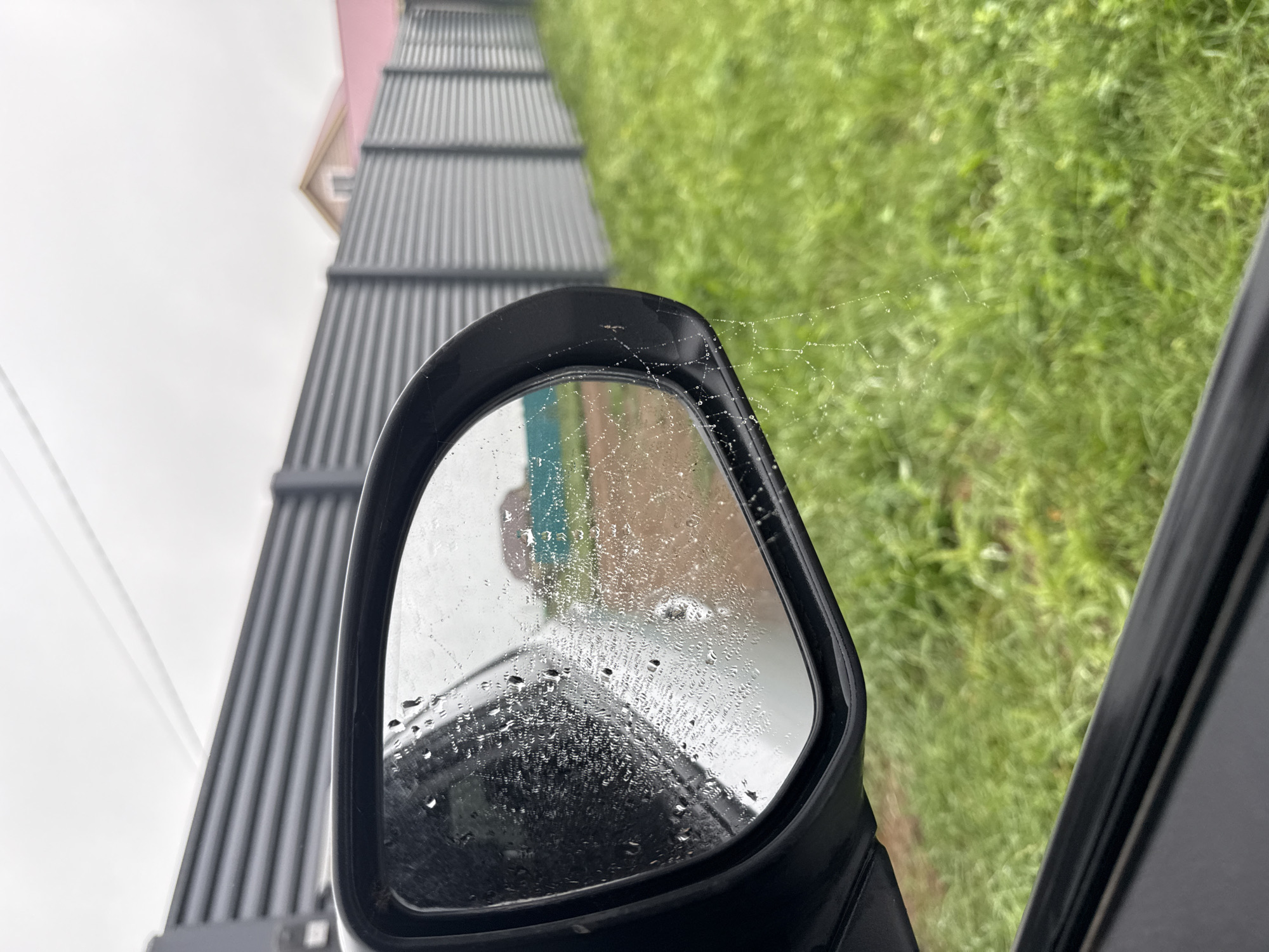 A car's side view mirror, showing a reflection of a hazy, overcast sky, a grey corrugated metal fence, and the roof of a building. The mirror's surface is covered in raindrops and a delicate spiderweb adorned with tiny water droplets. Outside the car, lush green grass borders the fence.