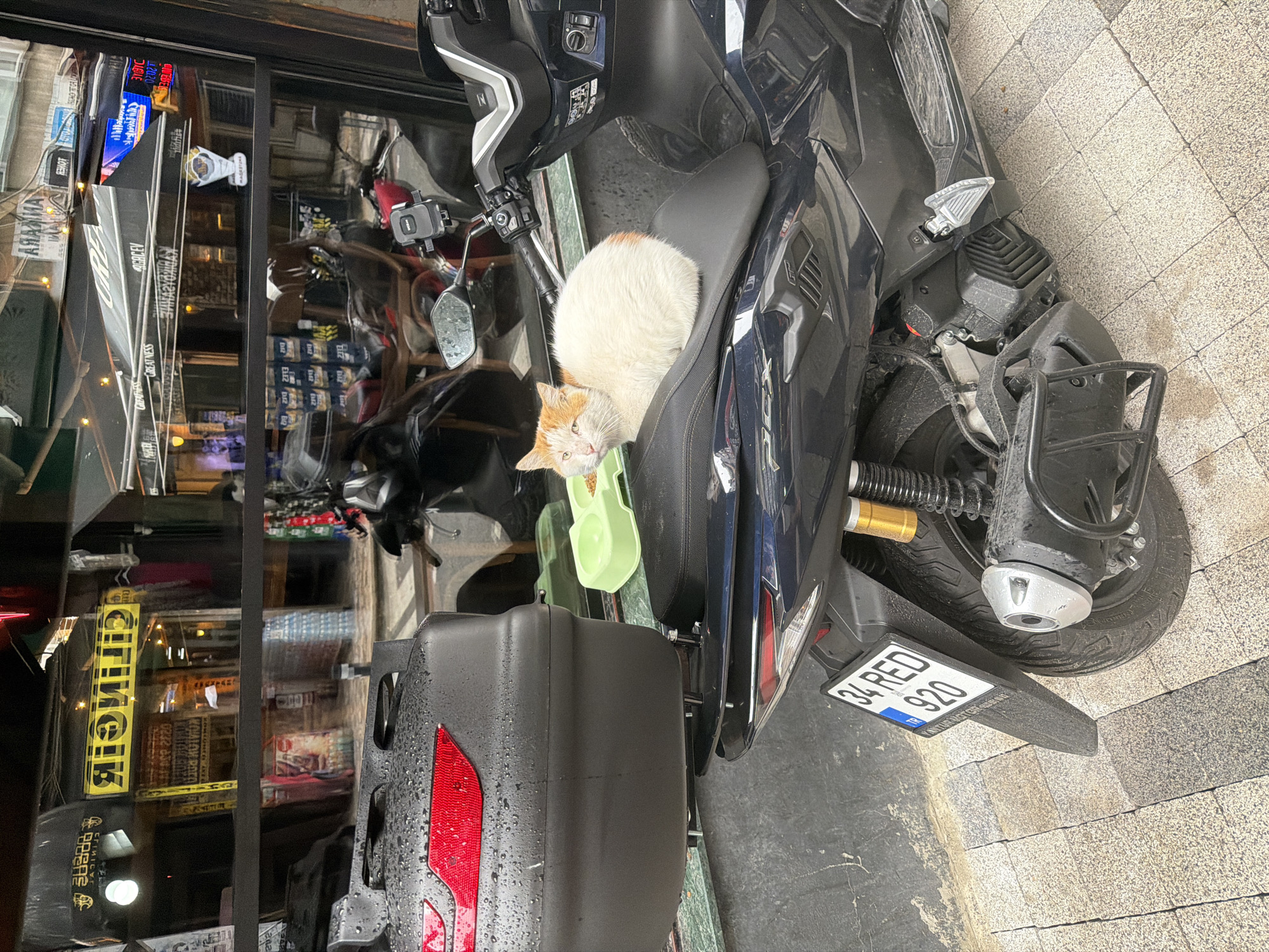 A light-colored cat with orange markings is sitting on the black seat of a parked scooter in Kadıköy, Turkey. A green food bowl is placed on the back of the scooter, next to the cat. The scooter has a license plate that reads "34 RED 920". In the background, a storefront with a yellow sign is visible through a window, displaying text in Turkish. The ground is paved with gray and beige square tiles. The scene is outdoors, with some reflections visible in the window.