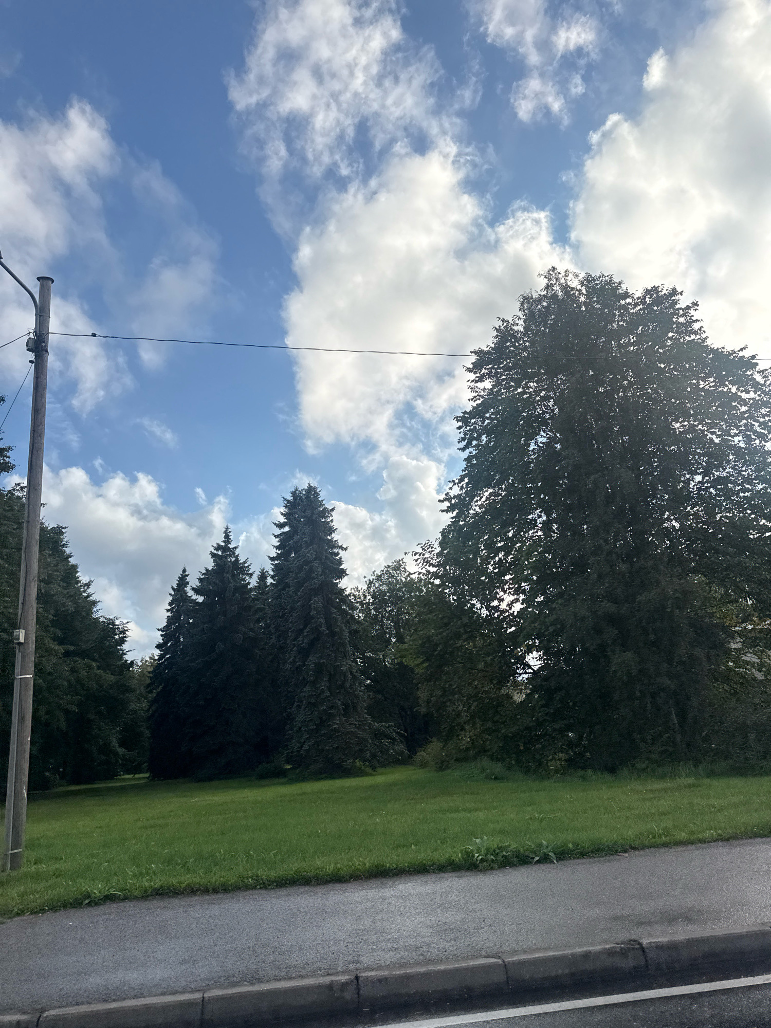 A clear, sunny day with scattered clouds is depicted, with the scene likely captured in Tallinn, Estonia, given the presence of a utility pole and the general urban park aesthetic. The foreground shows a wet asphalt road with a grey curb, suggesting recent rain. Beyond the road, a neatly mowed green lawn stretches into a park area dotted with various trees. On the left side of the image, a tall, weathered wooden utility pole stands with wires attached to it. Behind the pole, a dense line of dark green trees forms the background. In the center and right of the frame, several tall coniferous trees stand prominently, with a large, leafy deciduous tree dominating the right side of the image, its branches reaching towards the sky. The sky is a vibrant blue, with fluffy white clouds drifting across it, some illuminated by the sun. No people or animals are visible in the frame.