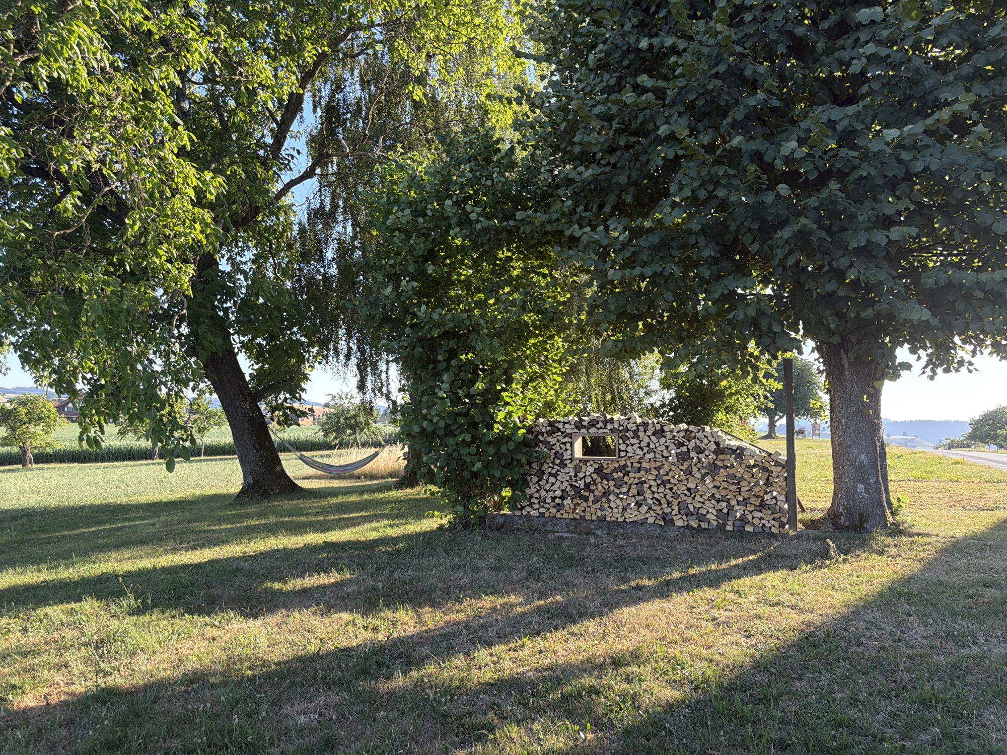 In Ufhusen, Switzerland, a sunlit scene unfolds on a grassy field with dappled shadows cast by mature trees. To the left, a hammock is strung between two trees, inviting relaxation. In the middle ground, a neatly stacked woodpile with a small square opening stands beside a bush. Behind the woodpile, a larger tree with dense green foliage is prominent. In the background, more trees and a hint of buildings can be seen on a gentle slope under a clear blue sky. The overall atmosphere is tranquil and rural.