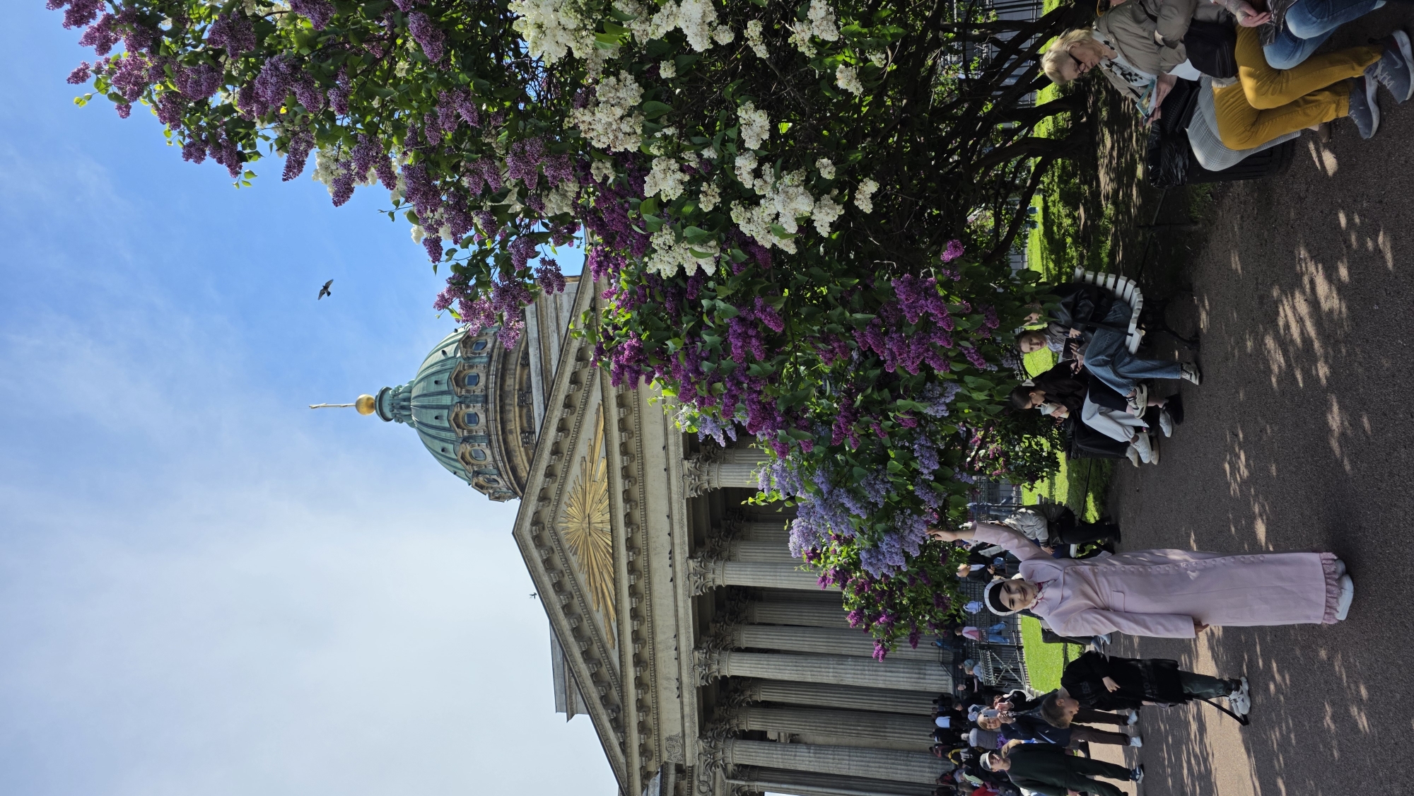 A photograph presents a landscape scene in Saint Petersburg, Russia, featuring the Kazan Cathedral, identifiable by its green dome and colonnade structure. The sky above transitions from a clear blue at the bottom to a paler shade towards the top, with a bird visible in the upper left quadrant. Foreground flora, including lilac and white flowering trees, frame the composition. People are positioned at various points, with some seated on benches under the trees and others standing near the cathedral. A person in a light pink coat and headscarf is standing with an arm raised, possibly interacting with the scene or posing for a photograph. The pavement area suggests a pedestrian-friendly public space.