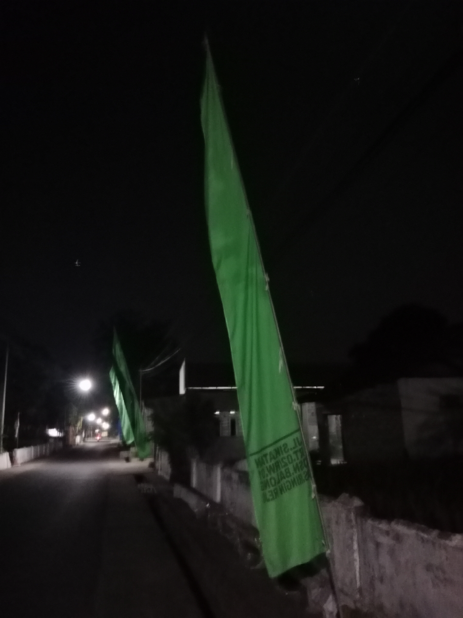 In Ringinrejo, Indonesia, at night, green flags are seen along a street. The street is dimly lit by streetlights, and some buildings are visible in the background. One of the flags has text printed on it, which appears to be in Indonesian. The overall scene suggests a quiet, possibly festive, atmosphere.