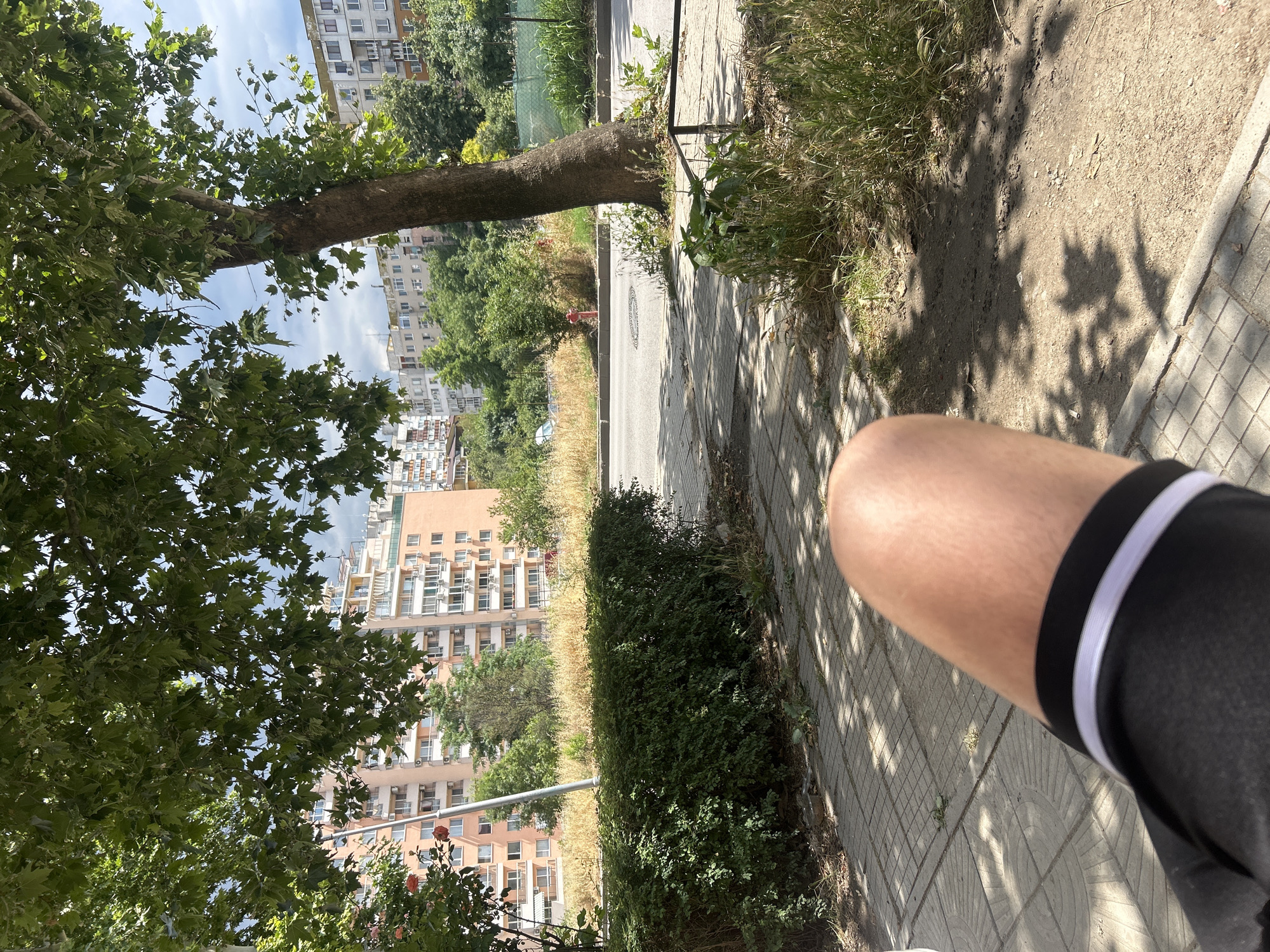 This is an eye-level, medium shot of a person's bare thigh and knee, in the foreground, which is resting on a checkered sidewalk. The subject is wearing black athletic shorts with white stripes. The sidewalk transitions to a dirt path with dry grass and weeds. In the middle ground, a dense green hedge runs parallel to the sidewalk, behind which is an asphalt road and a dry, yellow grassy area. Further back, a fire hydrant is visible near a tree with light brown bark. Beyond the road, there are apartment buildings with light-colored facades and numerous windows. The background is a mix of trees, foliage, and a cloudy sky. The scene appears to be an urban park or residential area in Plovdiv, Bulgaria, based on the architectural style of the buildings.
