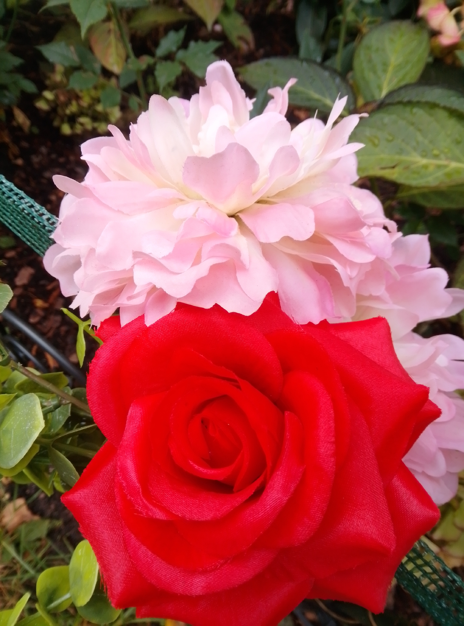 The image shows a close-up, eye-level, outdoor shot of two artificial flowers: a bright red rose in the foreground and a pale pink peony in the background. The rose is positioned on the right and lower portion of the frame, with its petals unfurling in a spiral pattern. The peony occupies the upper portion of the frame, also displaying layered petals. Green foliage is visible around and behind the flowers, with some appearing to be real and others possibly artificial. A green net fence is partially visible on the left side of the image. The background is softly blurred, suggesting a shallow depth of field. No people are present in the image, and no specific location in Wedel, Germany, can be identified from the provided visual information.