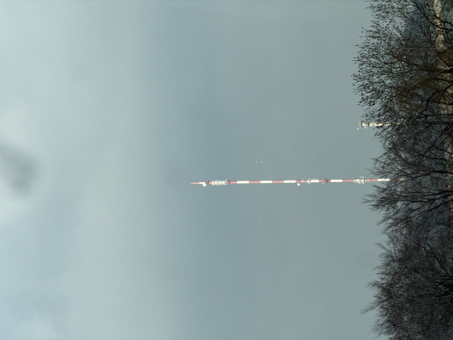 The image displays a prominent telecommunications tower located in Pagny-sur-Meuse, France. The primary structure is a tall, slender mast characterized by alternating horizontal red and white stripes. Multiple platforms and antenna arrays are visible at various heights along the tower. To the right and slightly behind the main tower, a smaller, thinner white tower is partially visible. The foreground is dominated by a dense line of bare deciduous trees with dark, intricate branches, suggesting a winter or early spring season. The sky above is uniformly overcast, presenting a muted, hazy gray-blue color. Numerous small, light-colored specks are scattered in the sky, primarily around the central tower. No individuals or specific actions are discernible.