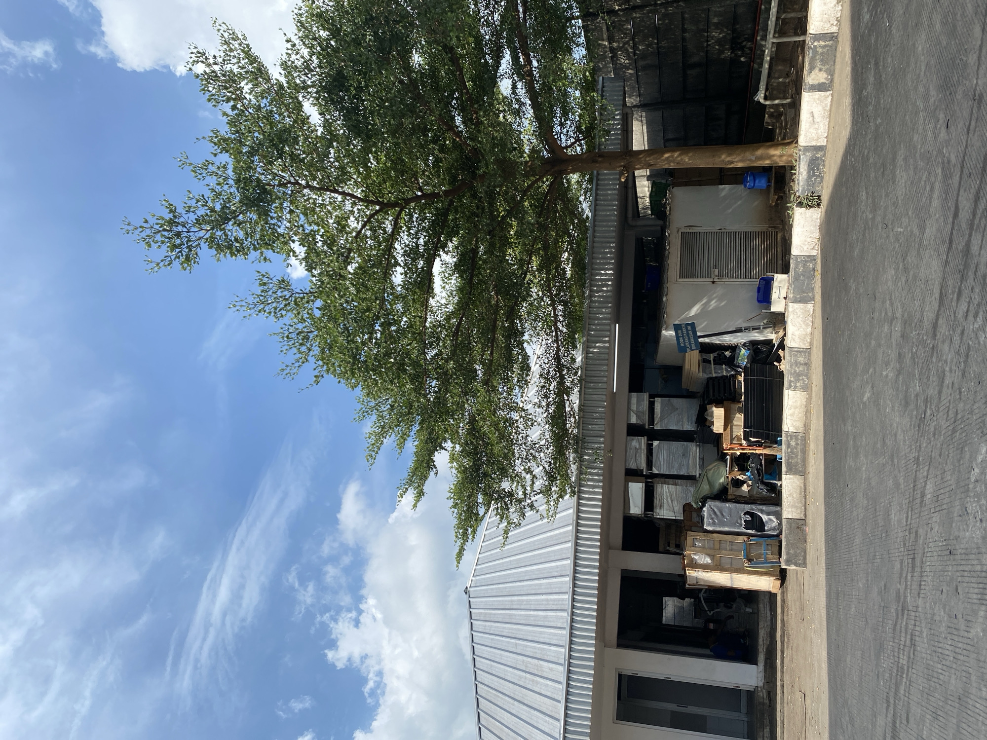 A large, leafy tree dominates the foreground of this outdoor scene, its branches extending across the top half of the frame. Behind the tree, a building with a corrugated metal roof is visible, its facade featuring an open entryway on the left and a long, covered area to the right. This covered area is filled with various stacked items, including what appear to be boxes, crates, and possibly appliances. To the right of the building, a dark wall is present, and a small white structure with a metal door is situated near the tree's trunk. The ground in front of the building is paved with asphalt, marked with white and gray stripes along the edge. The sky above is a bright blue with scattered white clouds. The scene appears to be an industrial or storage area in Gambut Barat, Indonesia, under a clear sky.