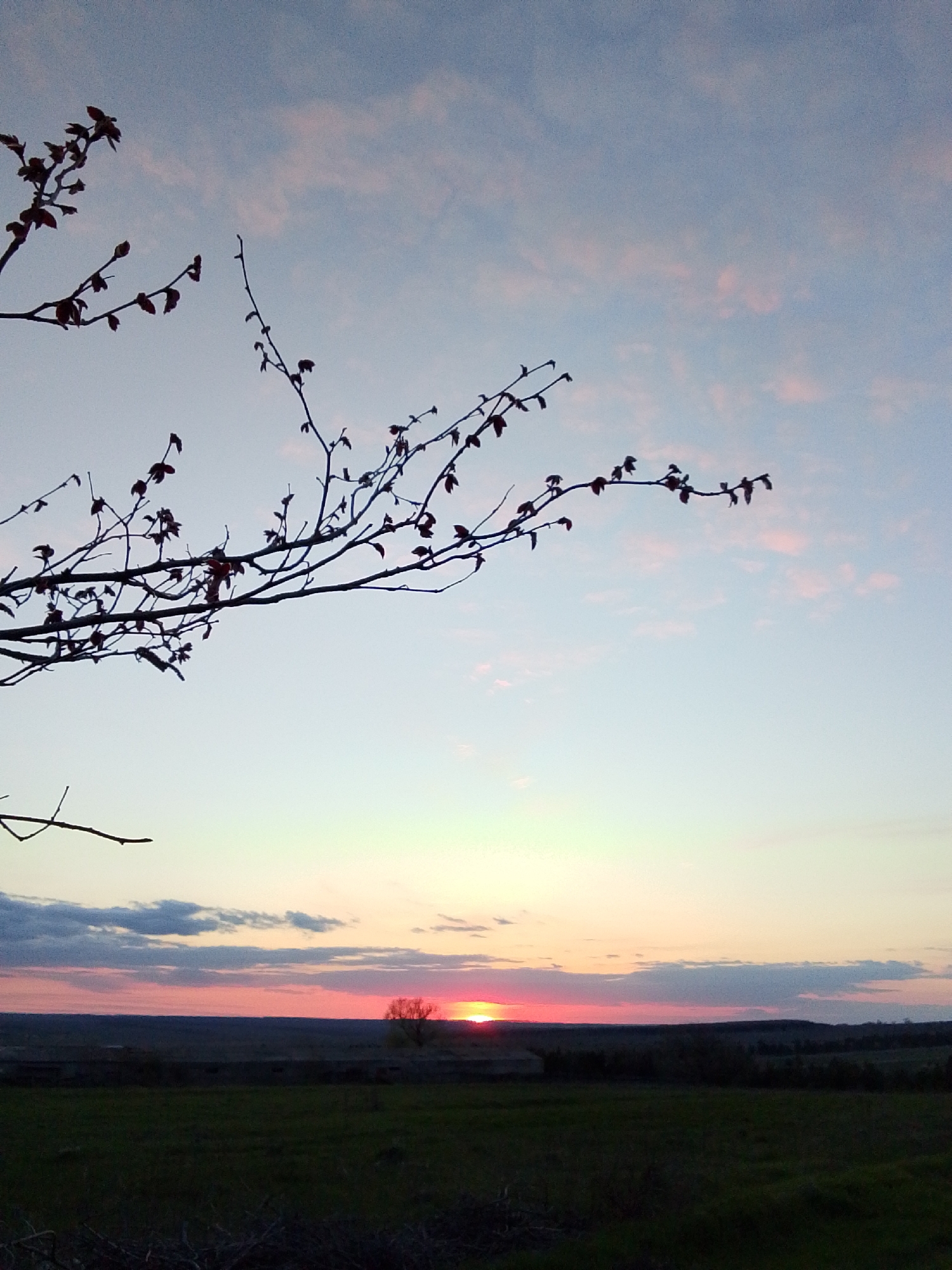 The image captures a landscape at sunset near Khlevnoye, Russia. In the foreground, silhouetted branches of a tree with nascent leaves frame the upper left of the scene. Below this, a field transitions into a darker, indistinct area with distant trees. The horizon is punctuated by a vibrant sunset, with the sun partially obscured by the terrain, casting a warm, red-orange glow across the sky. Some clouds are visible near the horizon, tinted pink by the setting sun. The sky graduates from the warm hues near the horizon to a cooler, pale blue with faint pink clouds overhead. No people are visible.