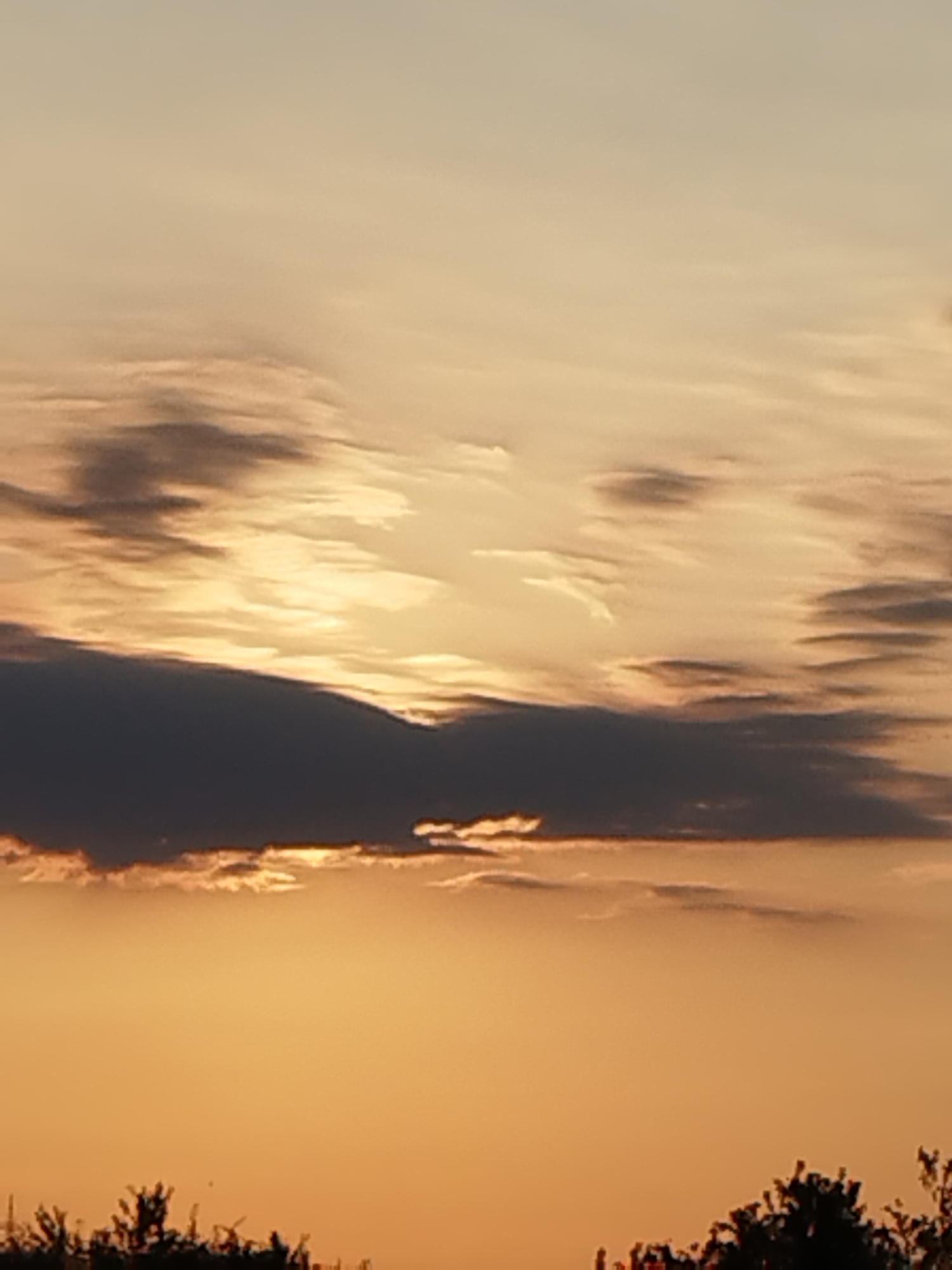 The image shows a sunset sky over Vidra, Romania, with silhouetted trees at the bottom. The sky is filled with clouds in various shades of orange, yellow, and gray, with the sun's light breaking through. The overall impression is one of a peaceful and serene evening.