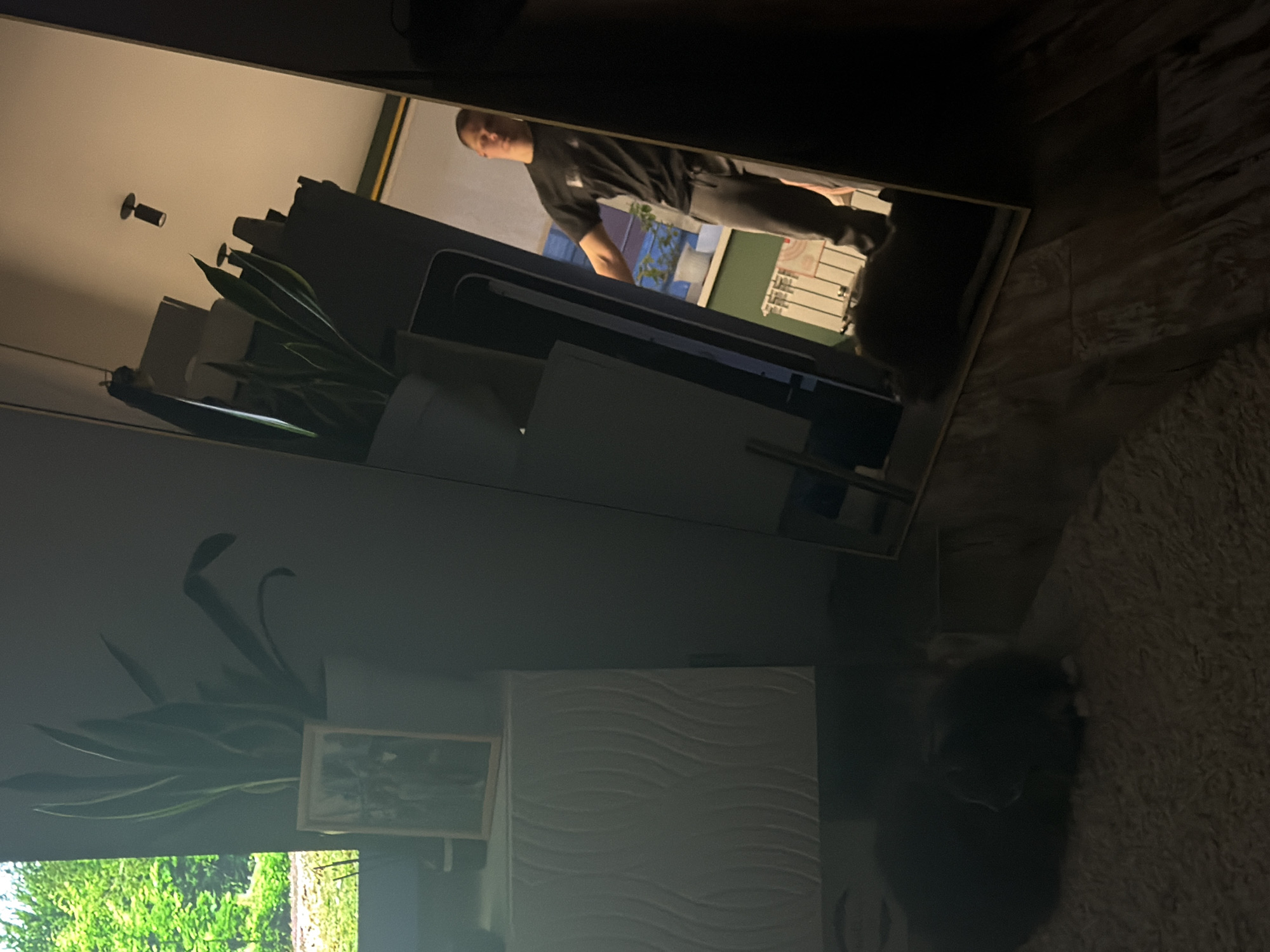 A distorted view through a mirror reveals a person in dark clothing, seemingly standing within a room in a location in Большая Шильна, Russia. The reflection captures elements of the room's interior, including a plant, a light fixture on the ceiling, and what appears to be a window with a view of the outdoors. The foreground outside the mirror depicts a dark-colored animal, possibly a cat, lying on a textured rug. A piece of furniture with a decorative front panel and a framed picture is also visible.
